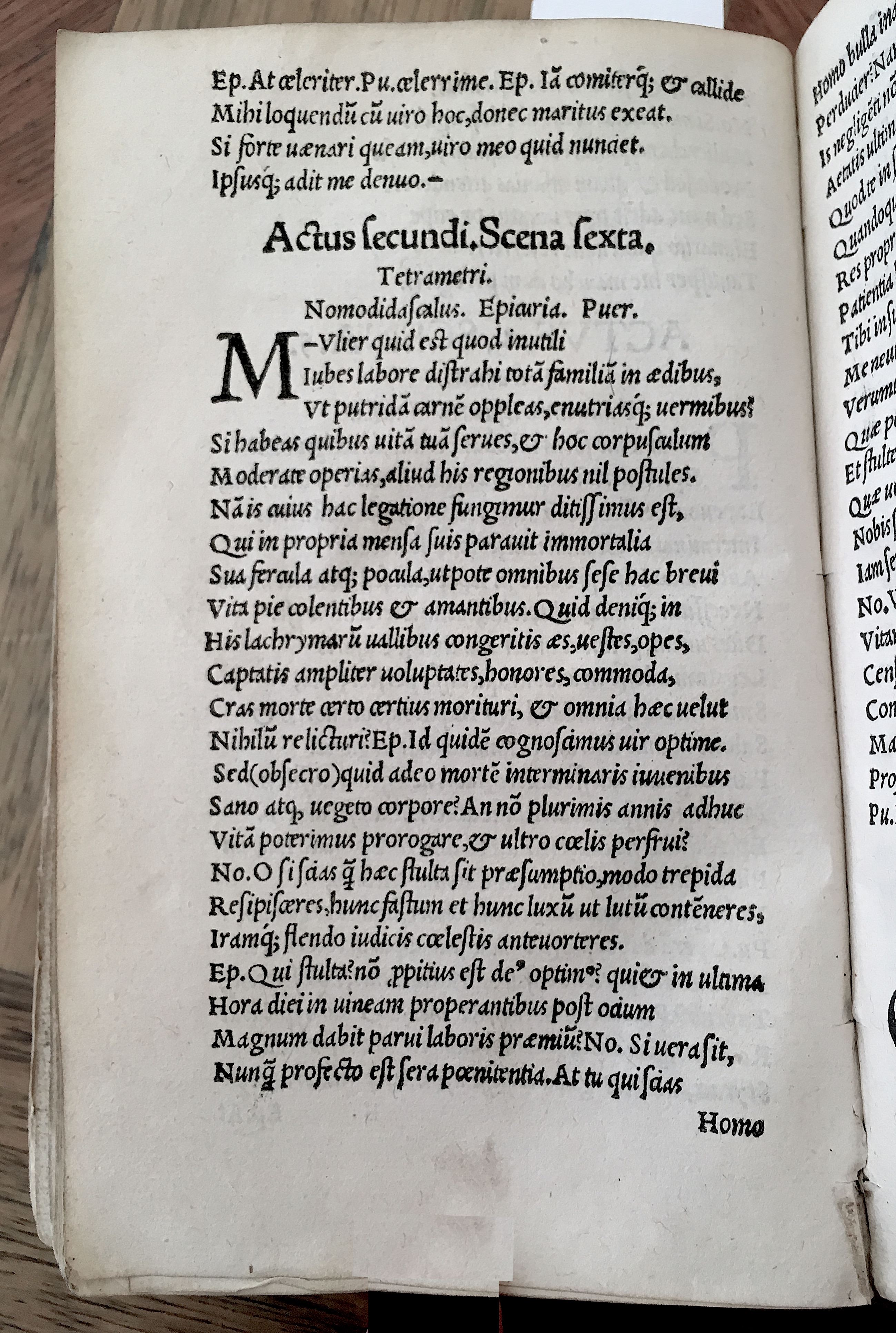 MacropediusHecastus1539p18