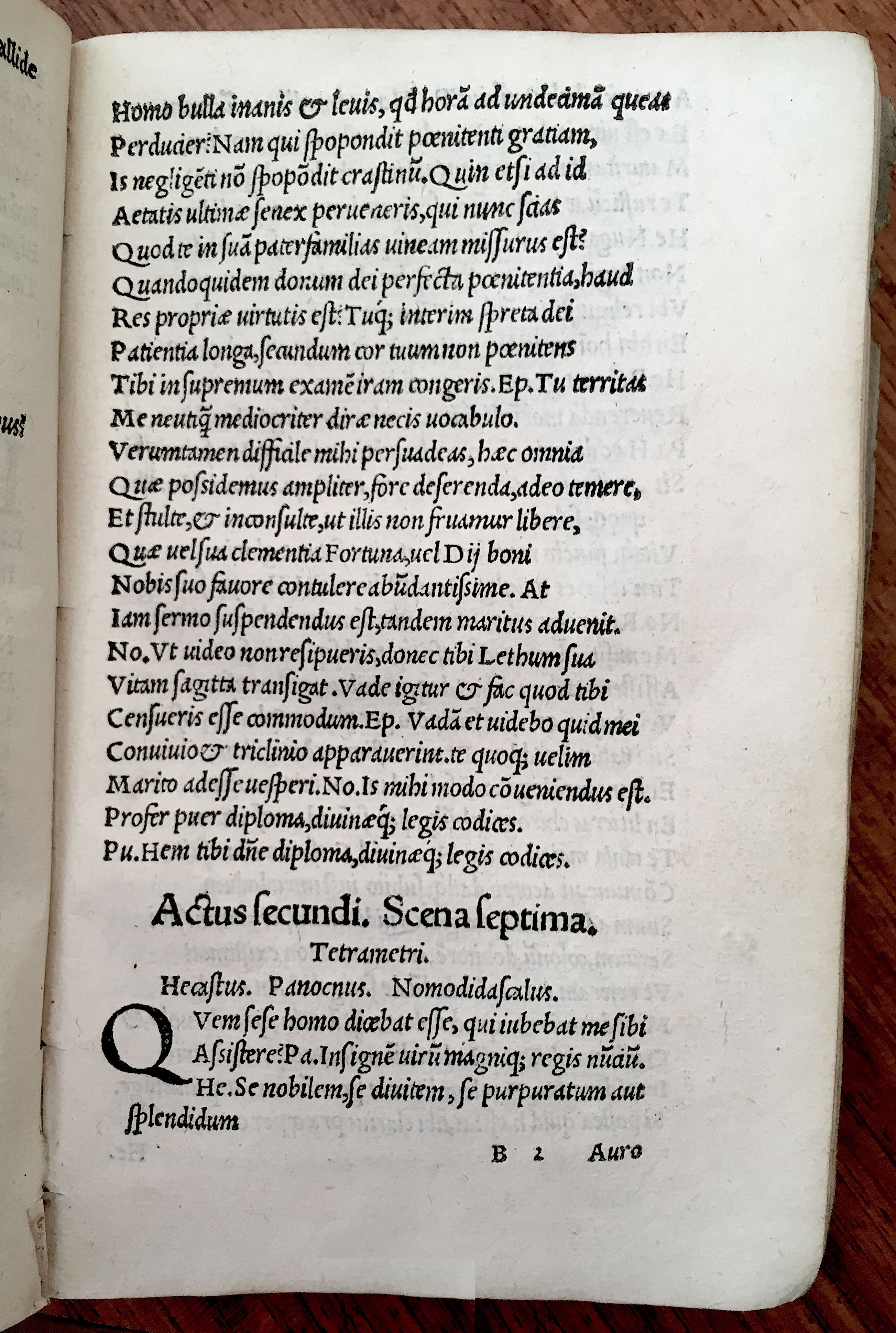 MacropediusHecastus1539p19