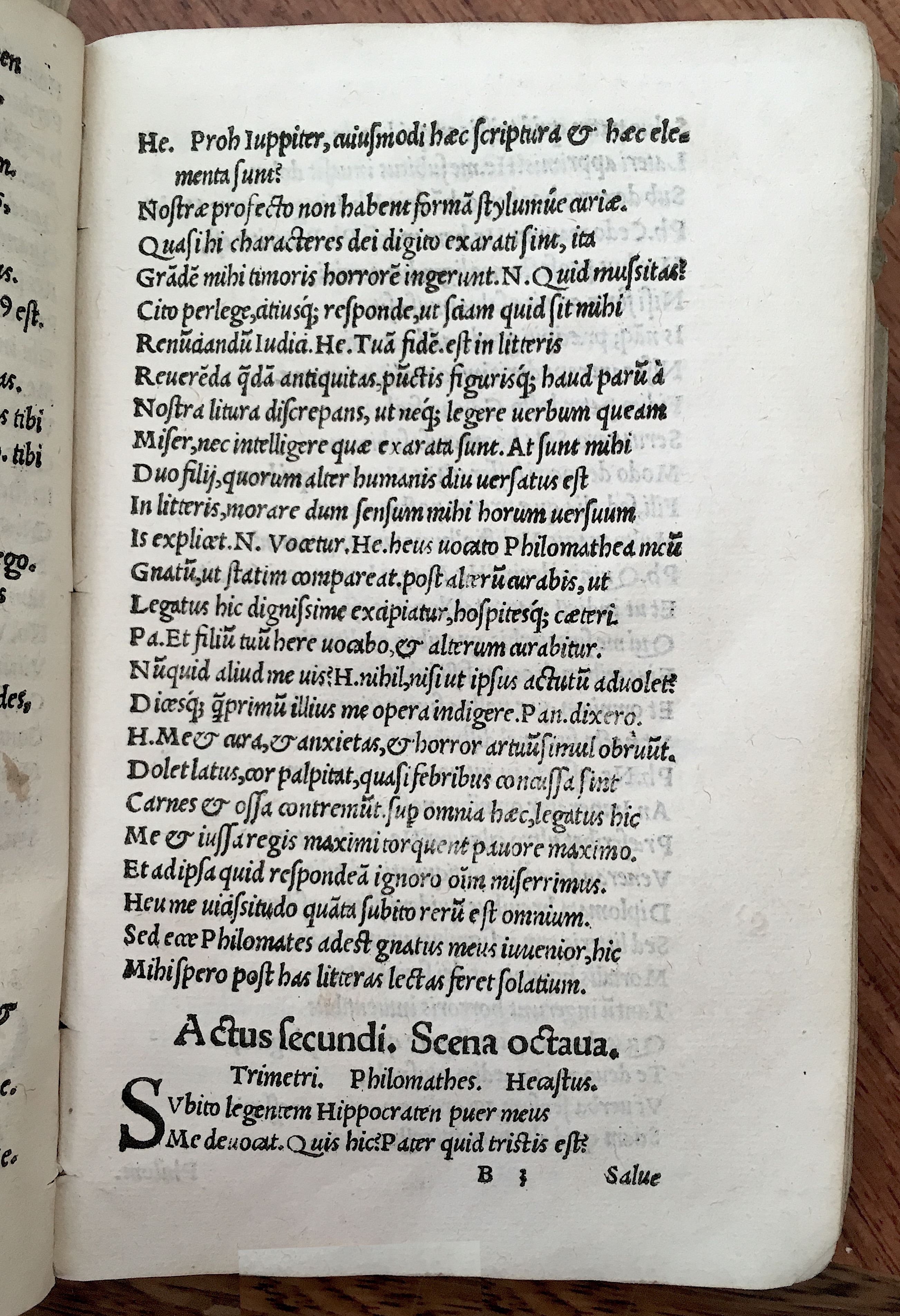 MacropediusHecastus1539p21