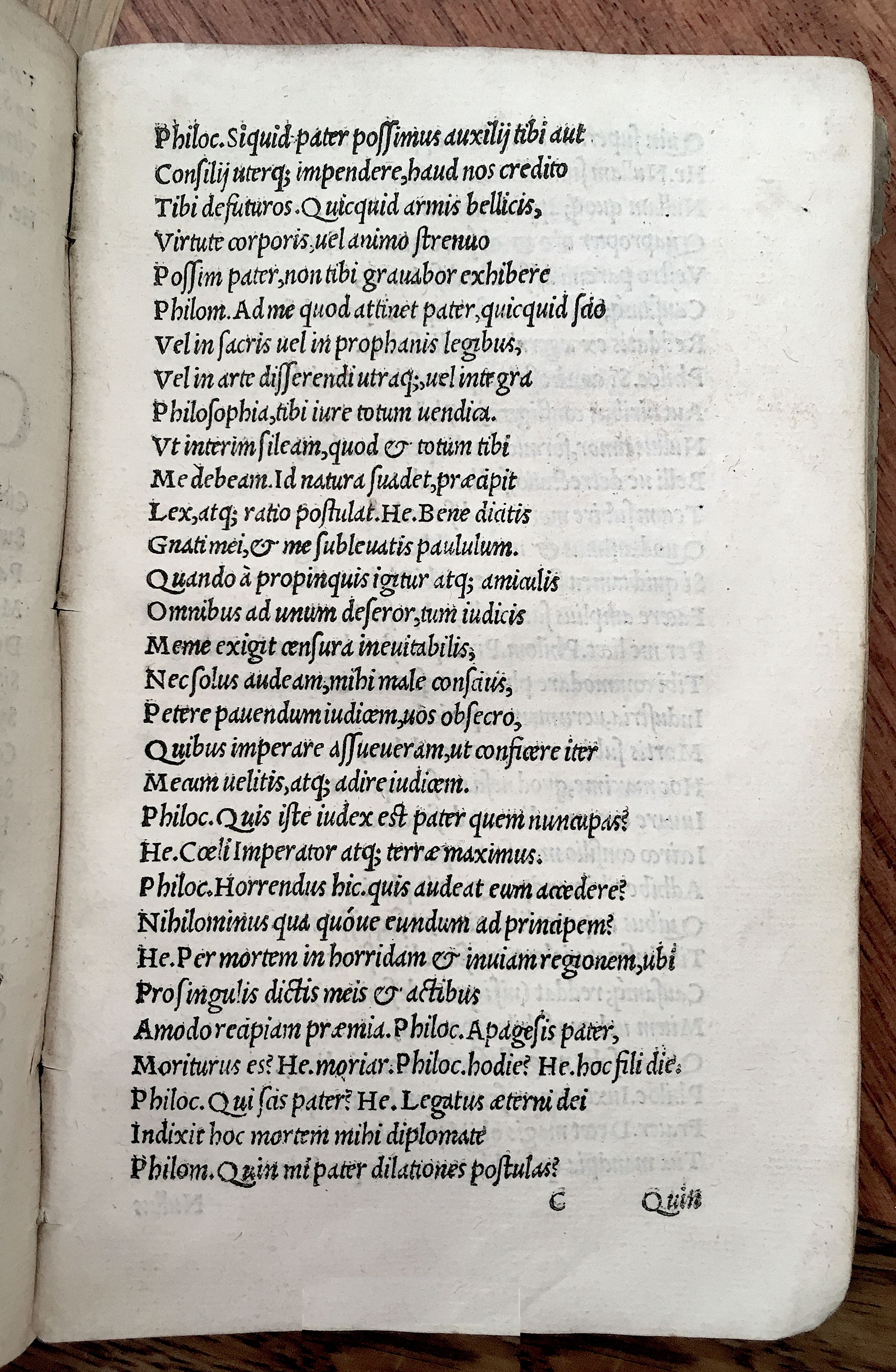 MacropediusHecastus1539p33