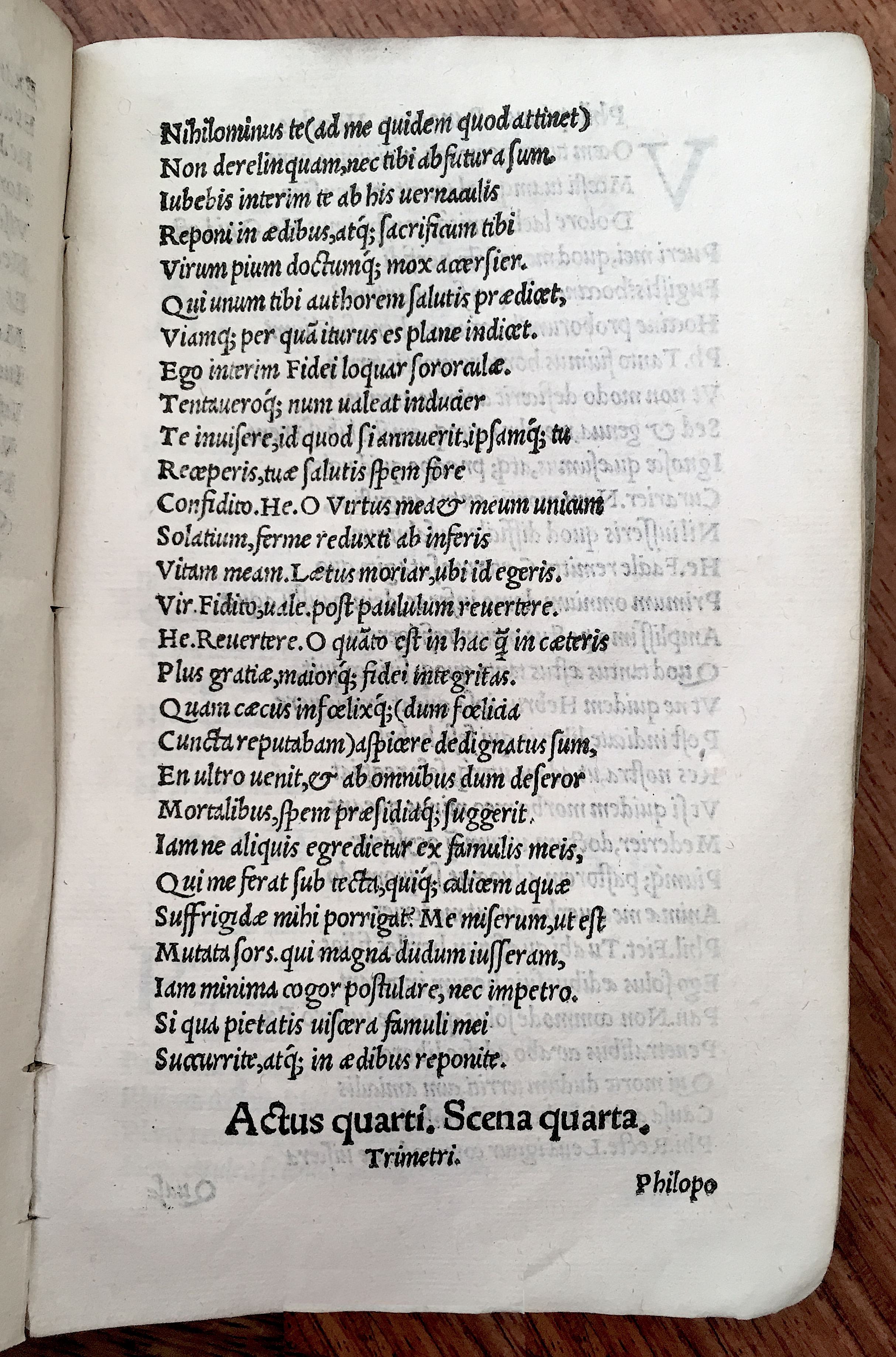 MacropediusHecastus1539p43