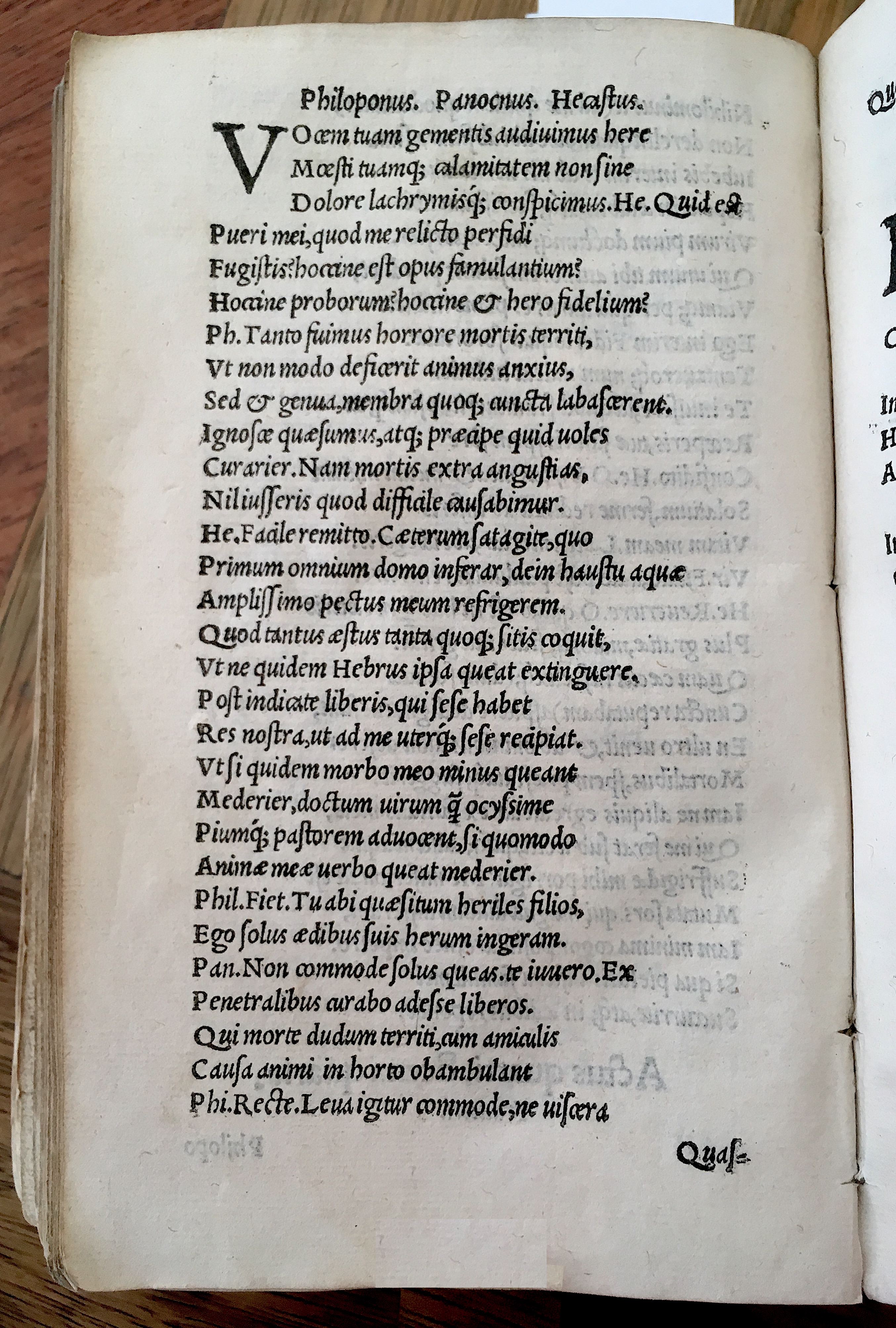 MacropediusHecastus1539p44