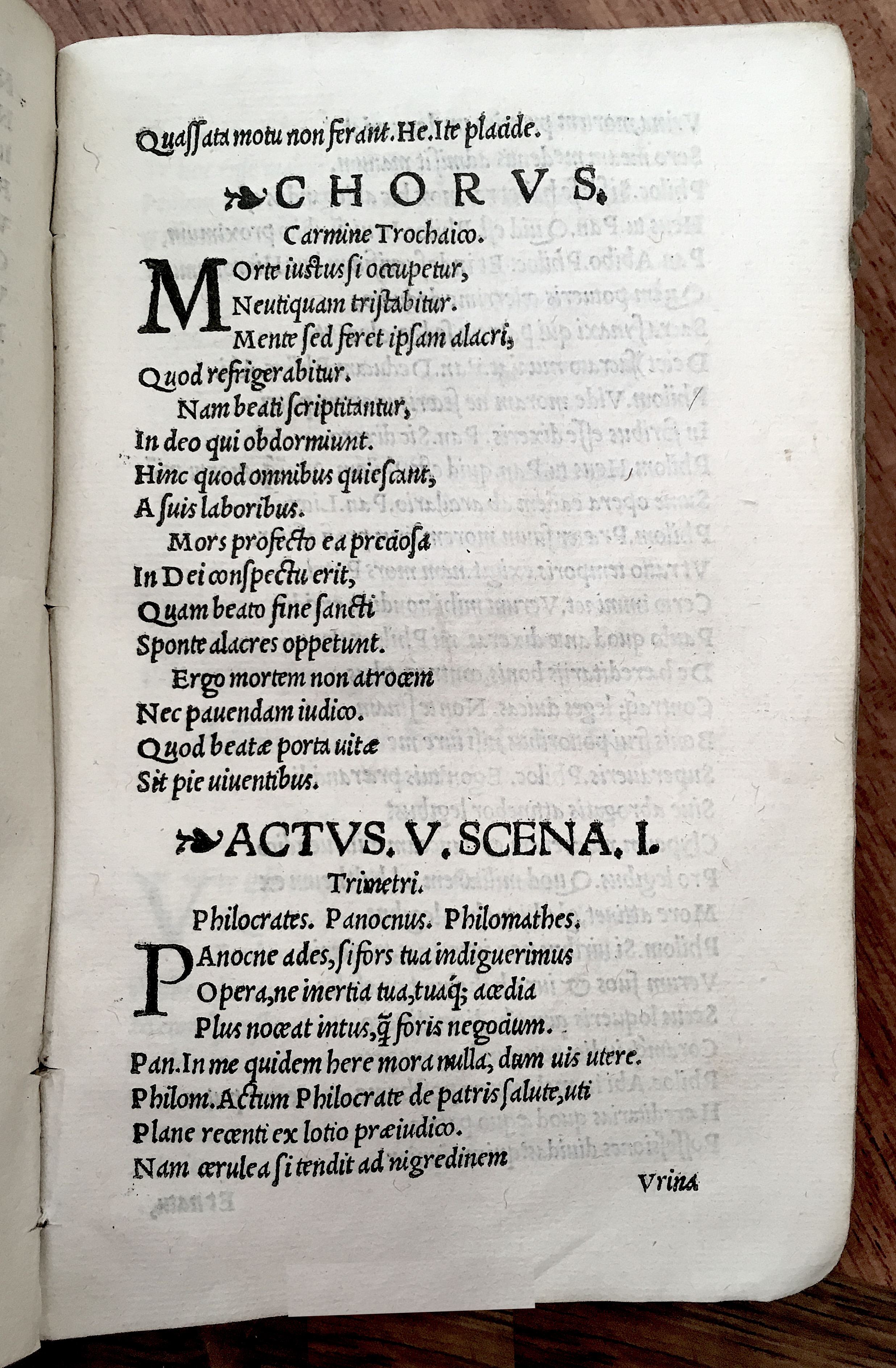 MacropediusHecastus1539p45