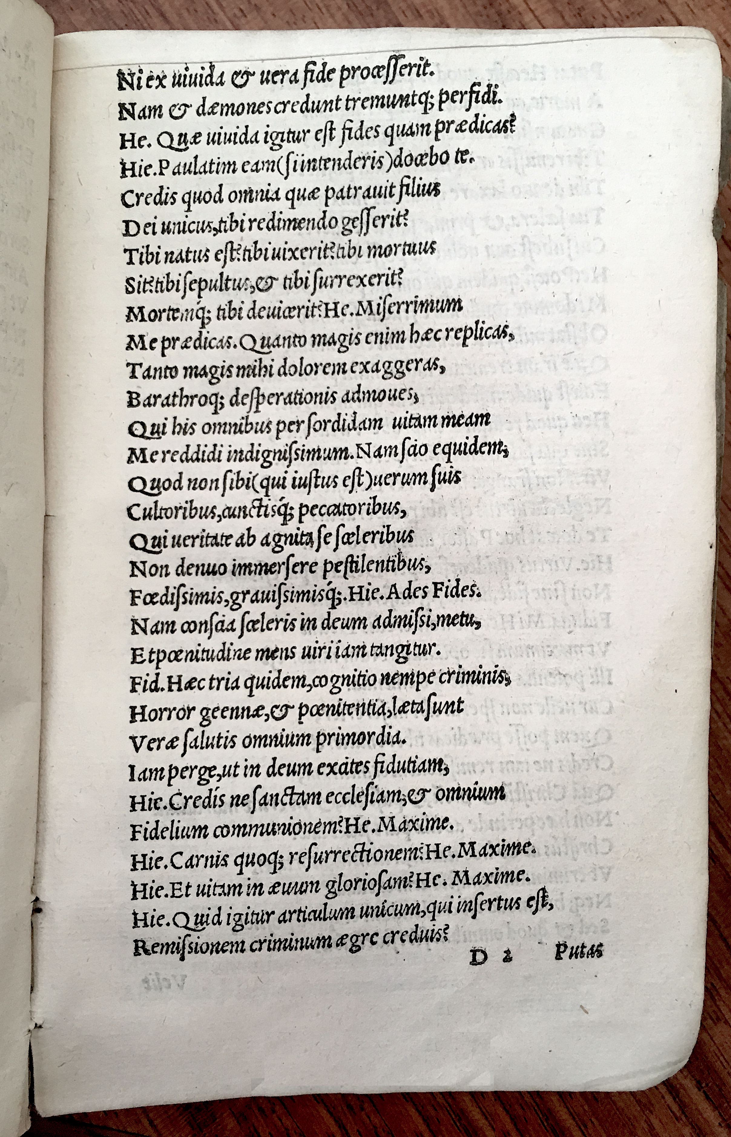 MacropediusHecastus1539p51