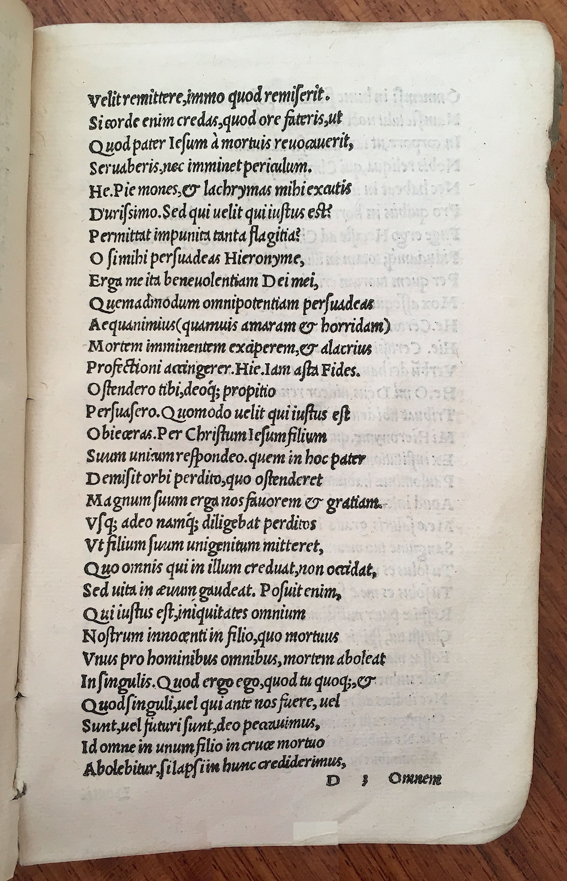 MacropediusHecastus1539p53