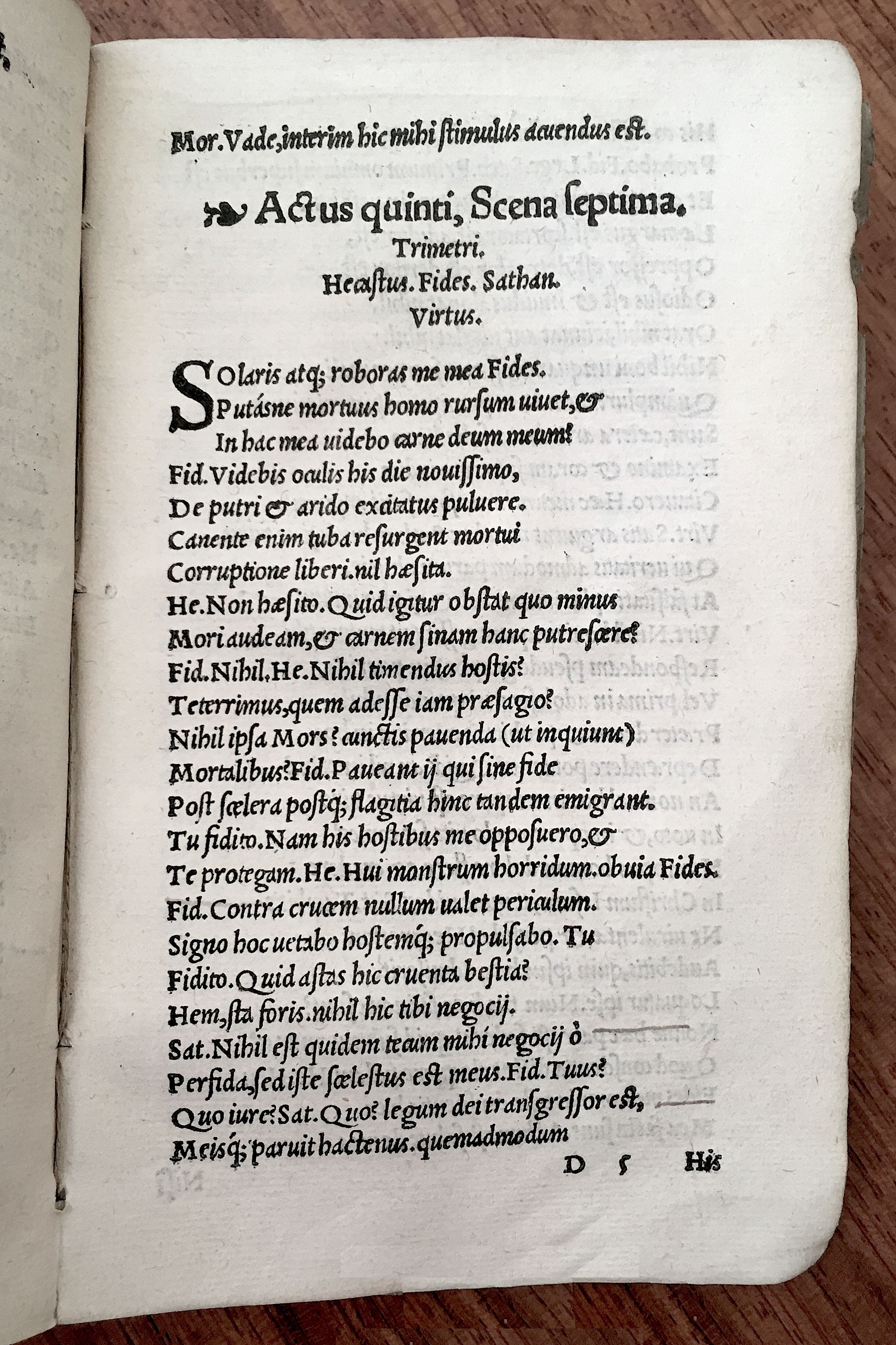 MacropediusHecastus1539p57