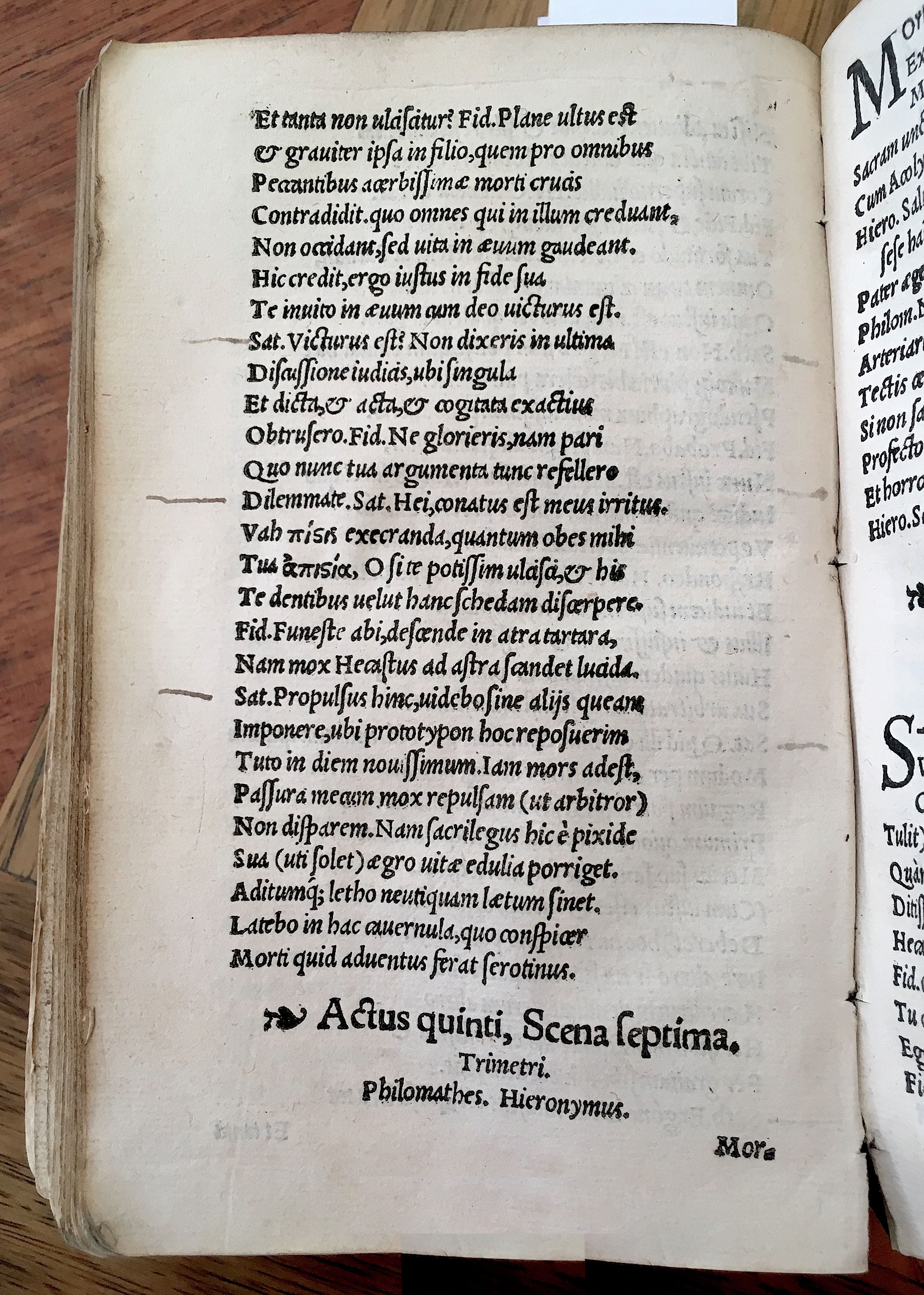 MacropediusHecastus1539p60