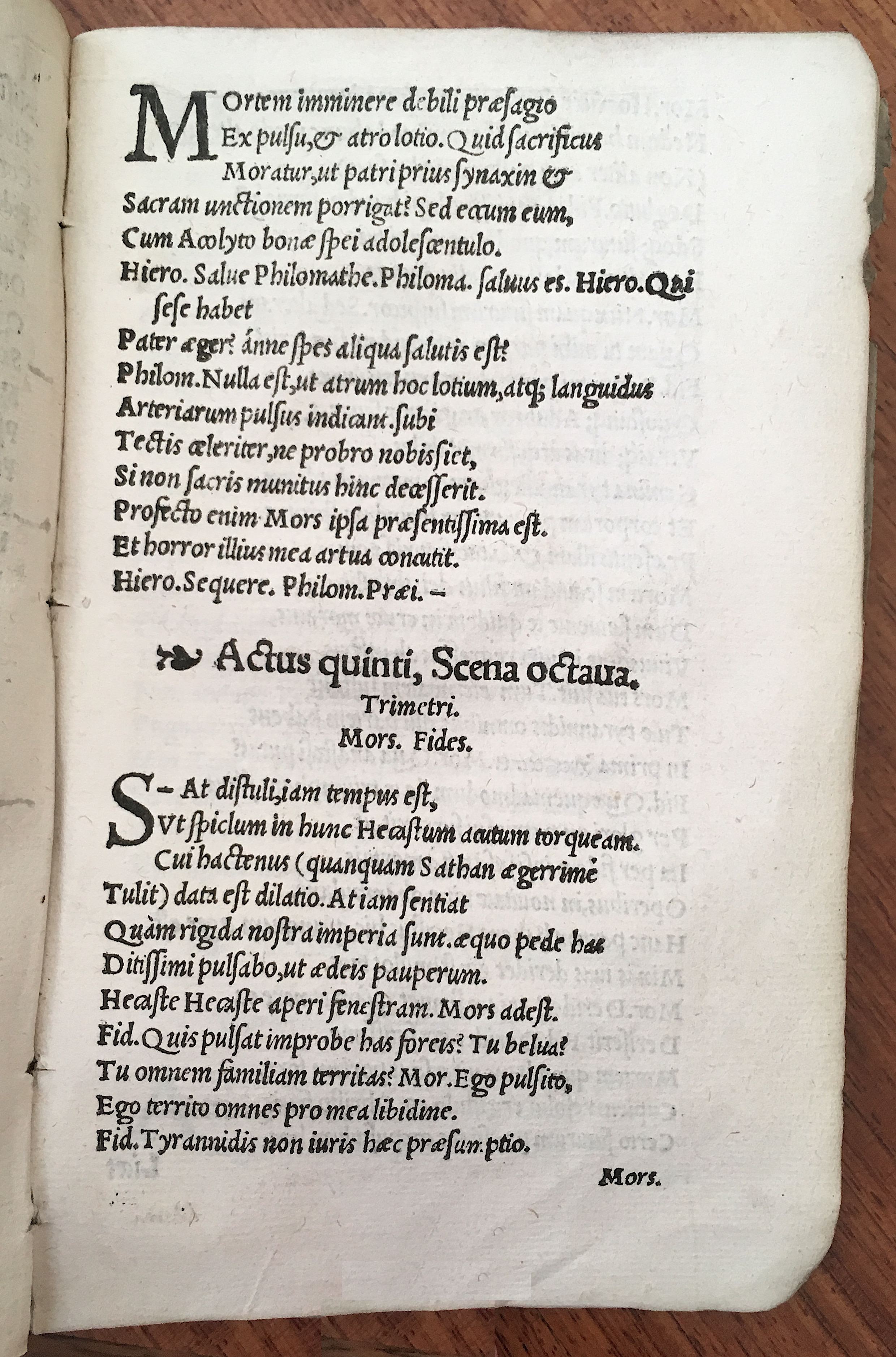 MacropediusHecastus1539p61