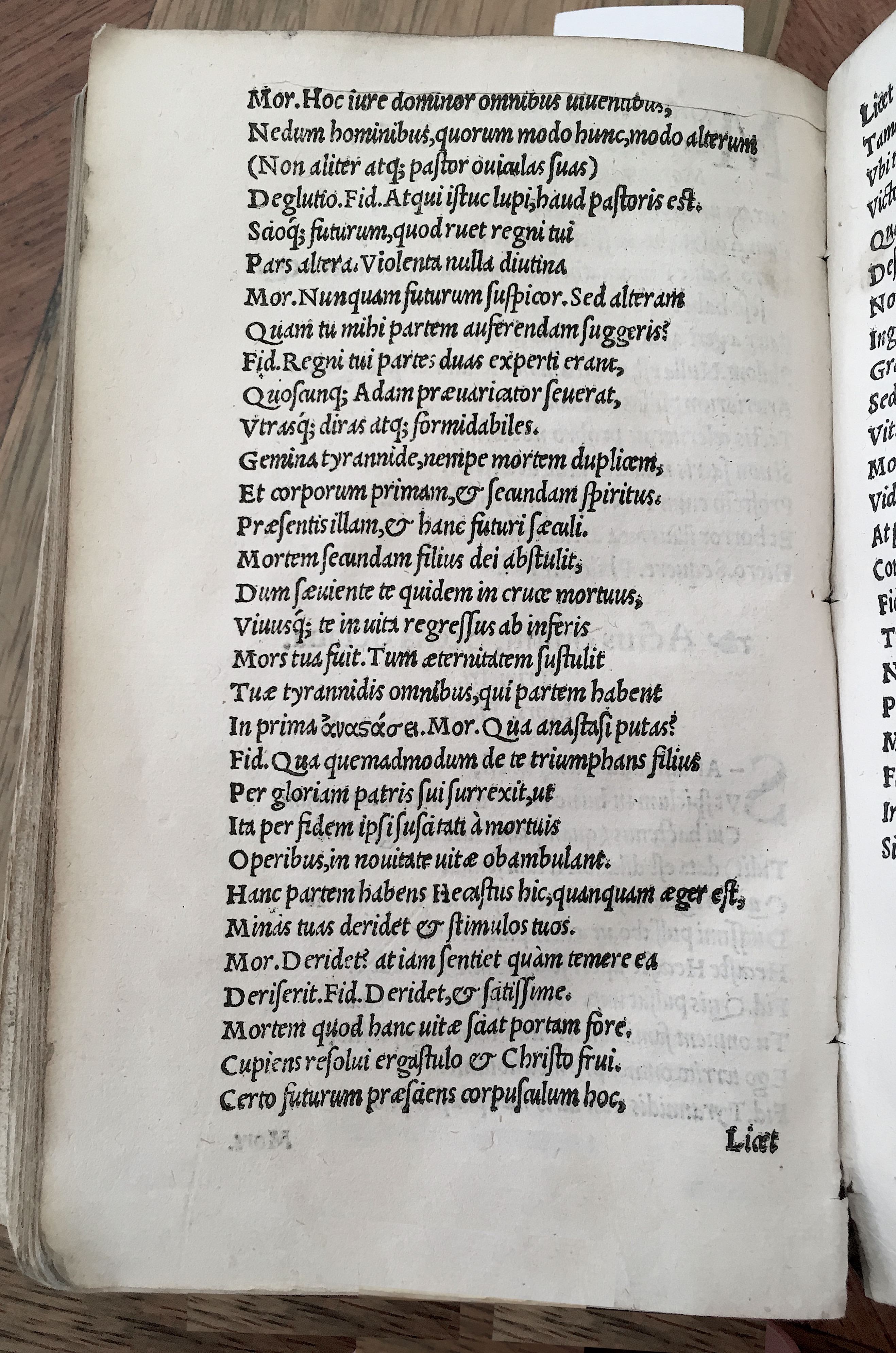 MacropediusHecastus1539p62