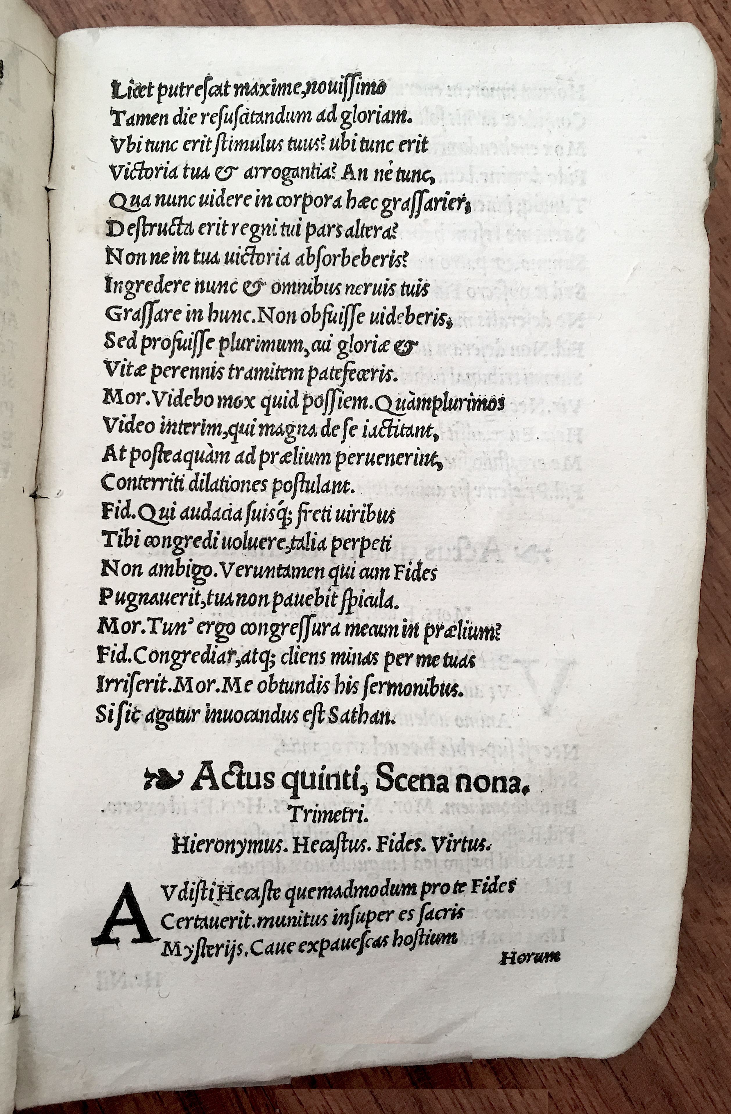 MacropediusHecastus1539p63