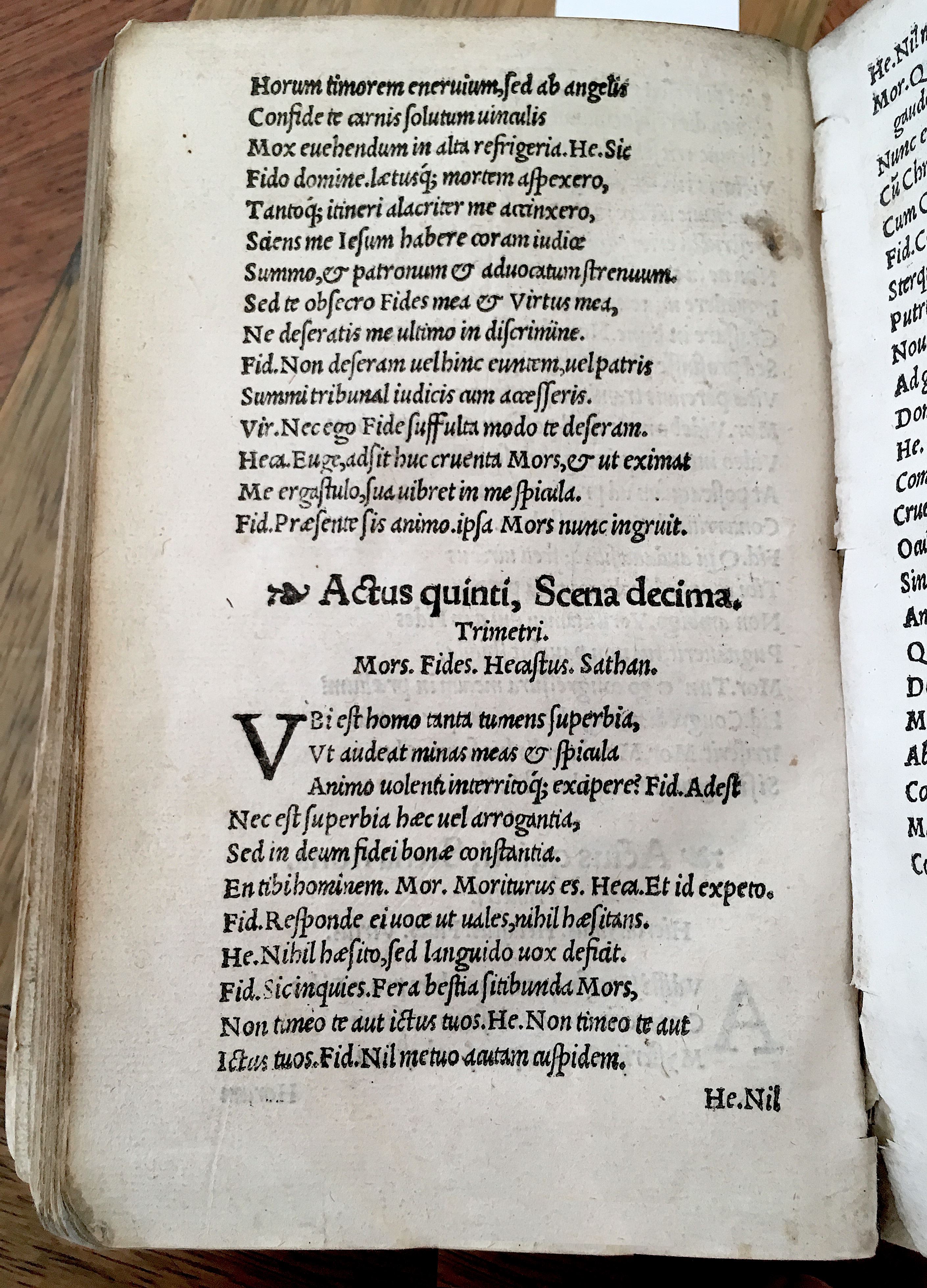 MacropediusHecastus1539p64