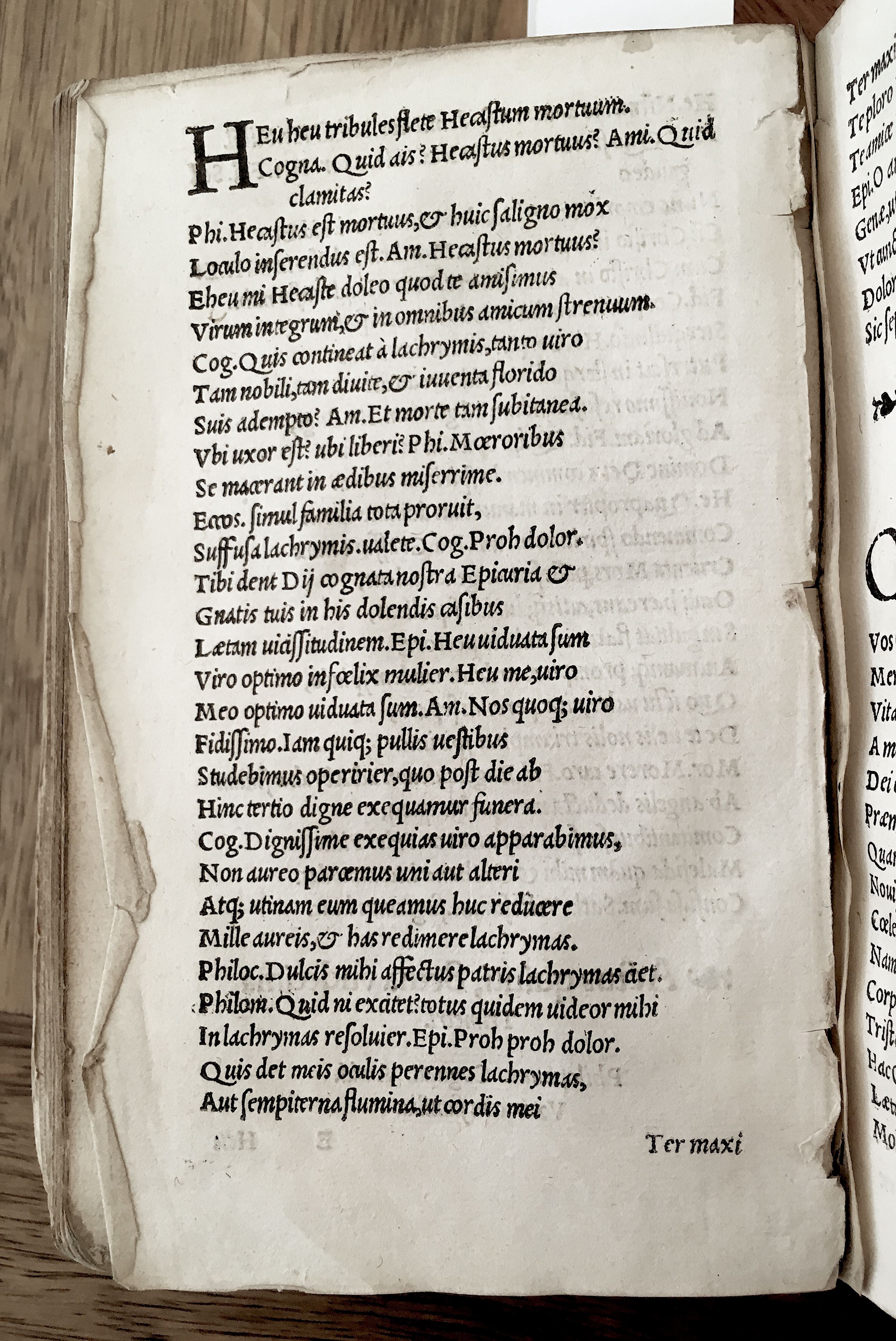 MacropediusHecastus1539p66