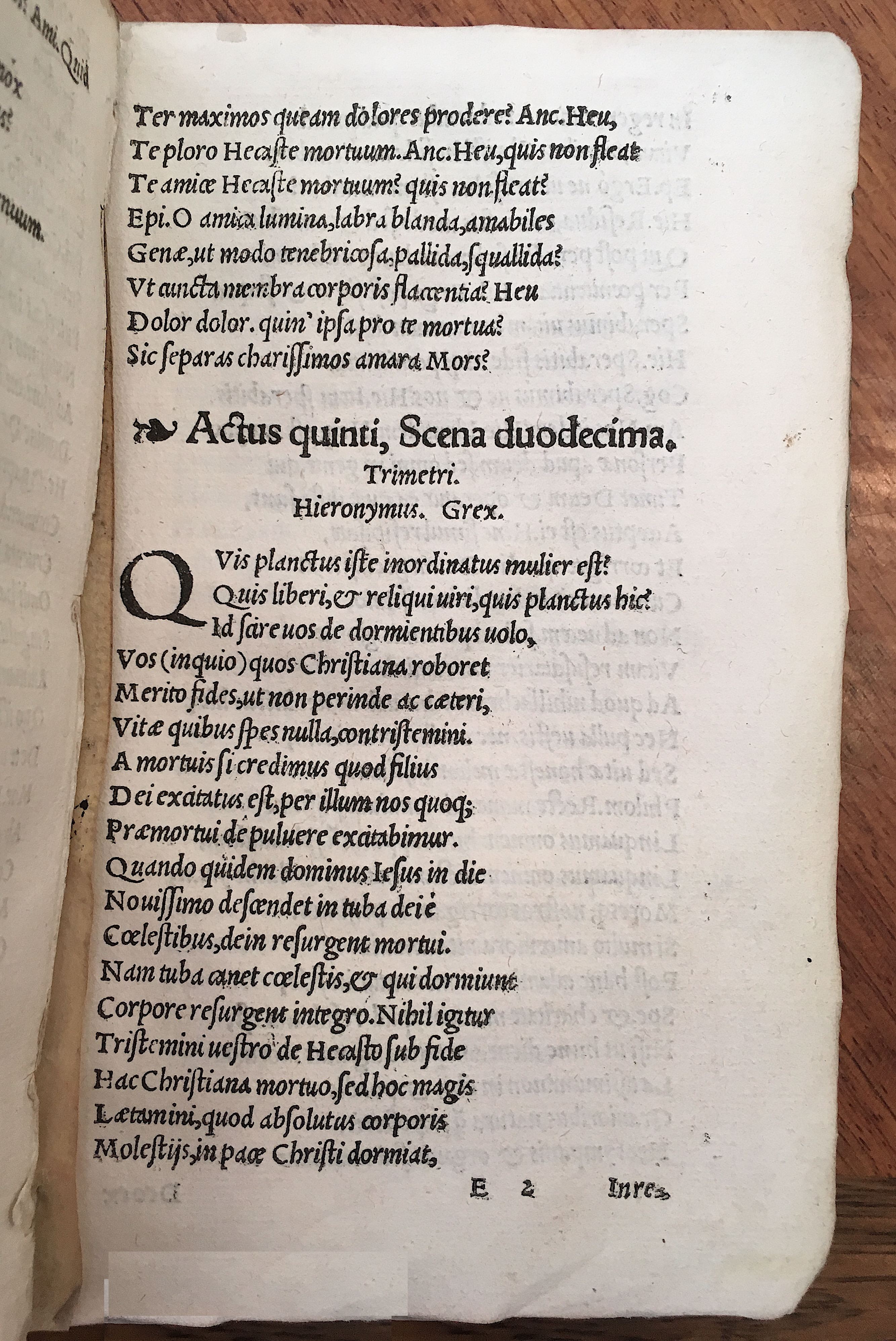 MacropediusHecastus1539p67