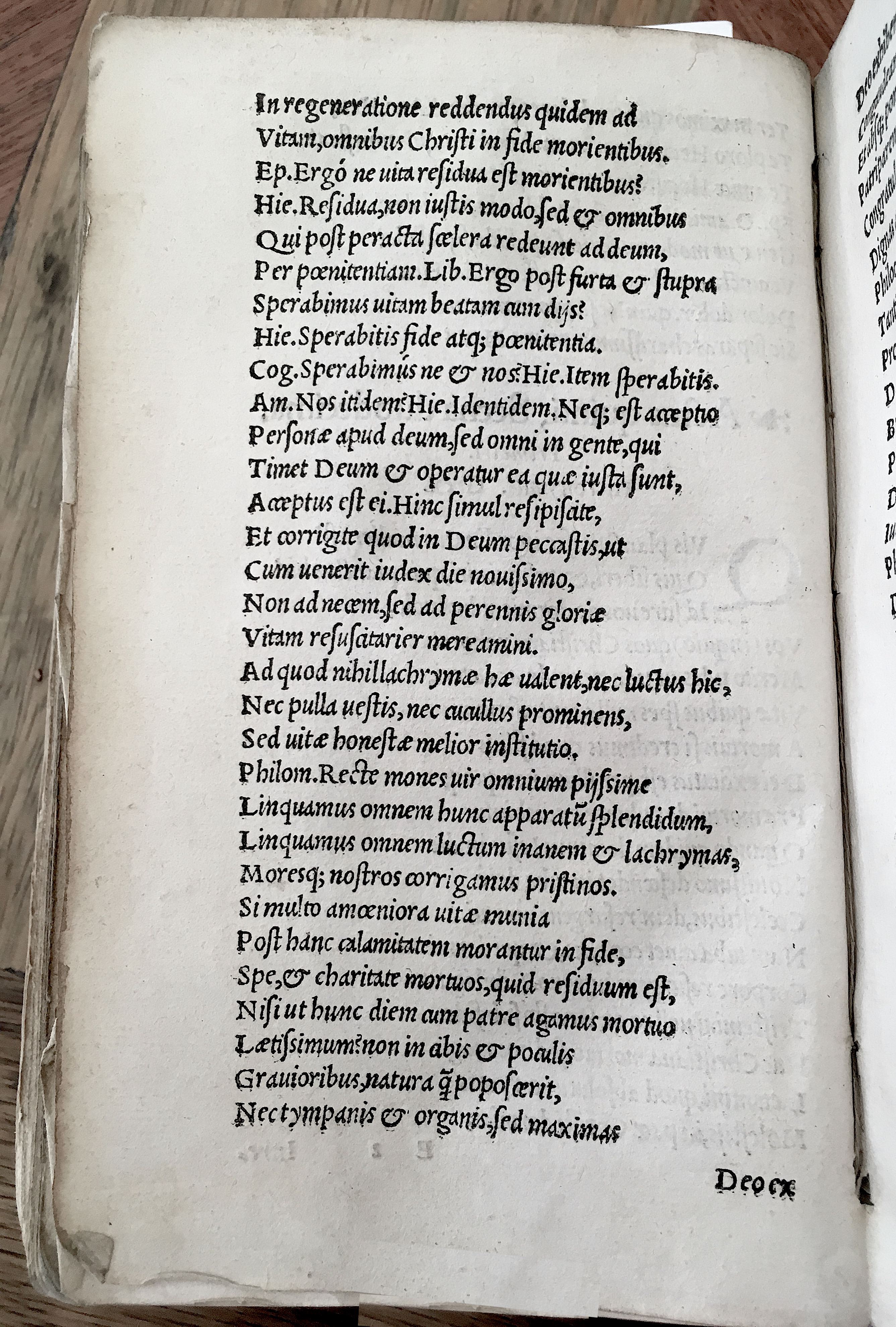 MacropediusHecastus1539p68