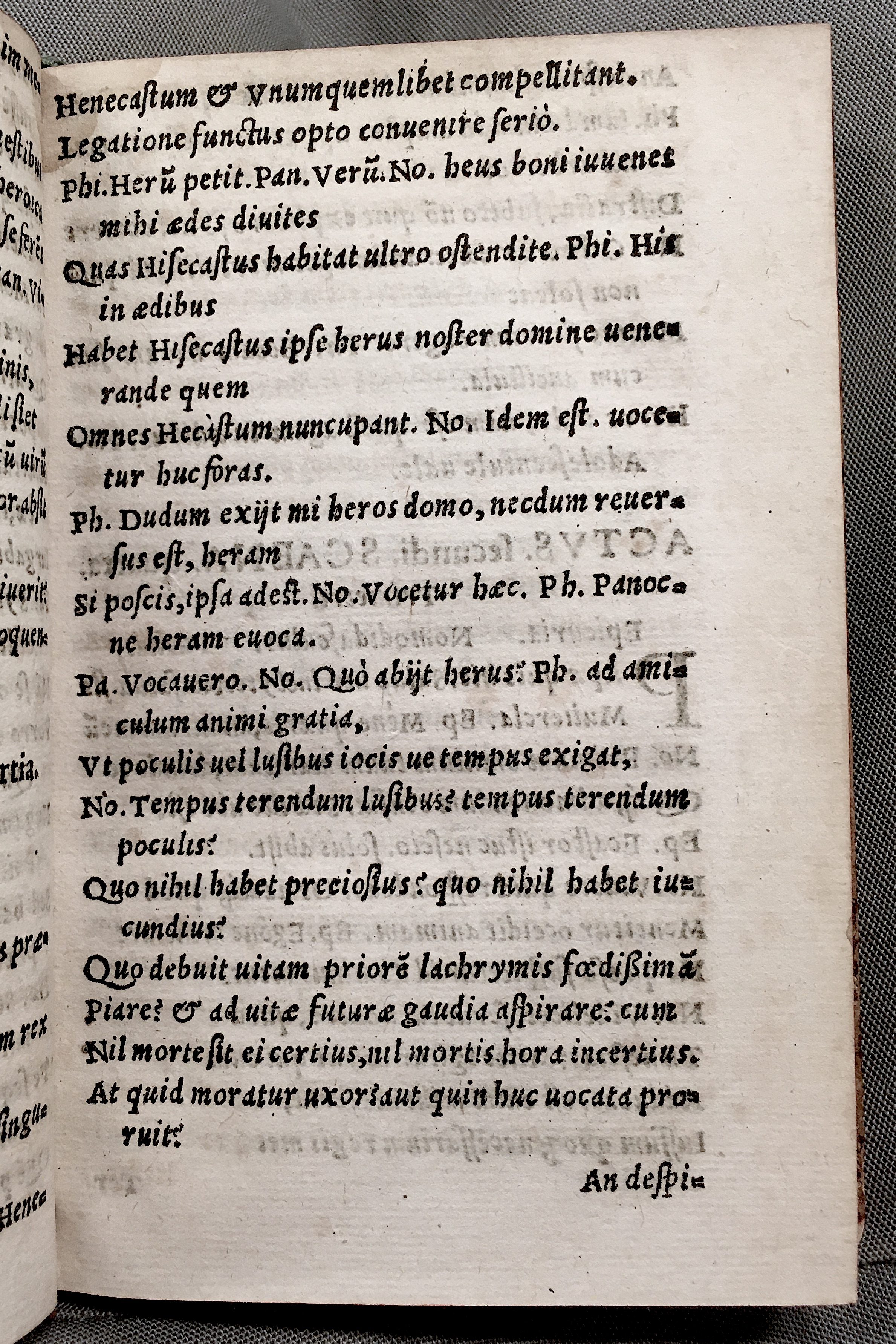 MacropediusHecastus1552p027.jpg