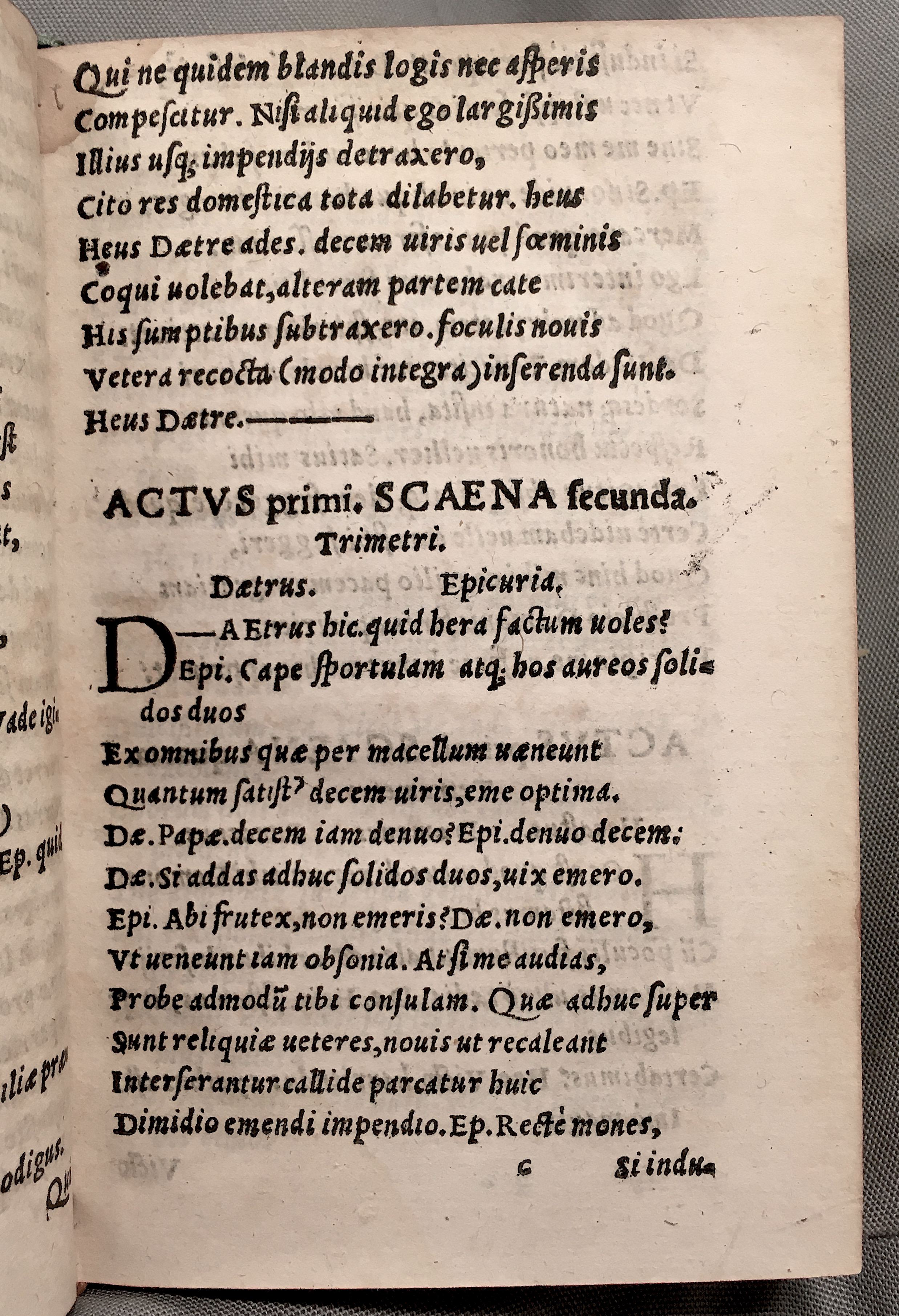 MacropediusHecastus1552p017