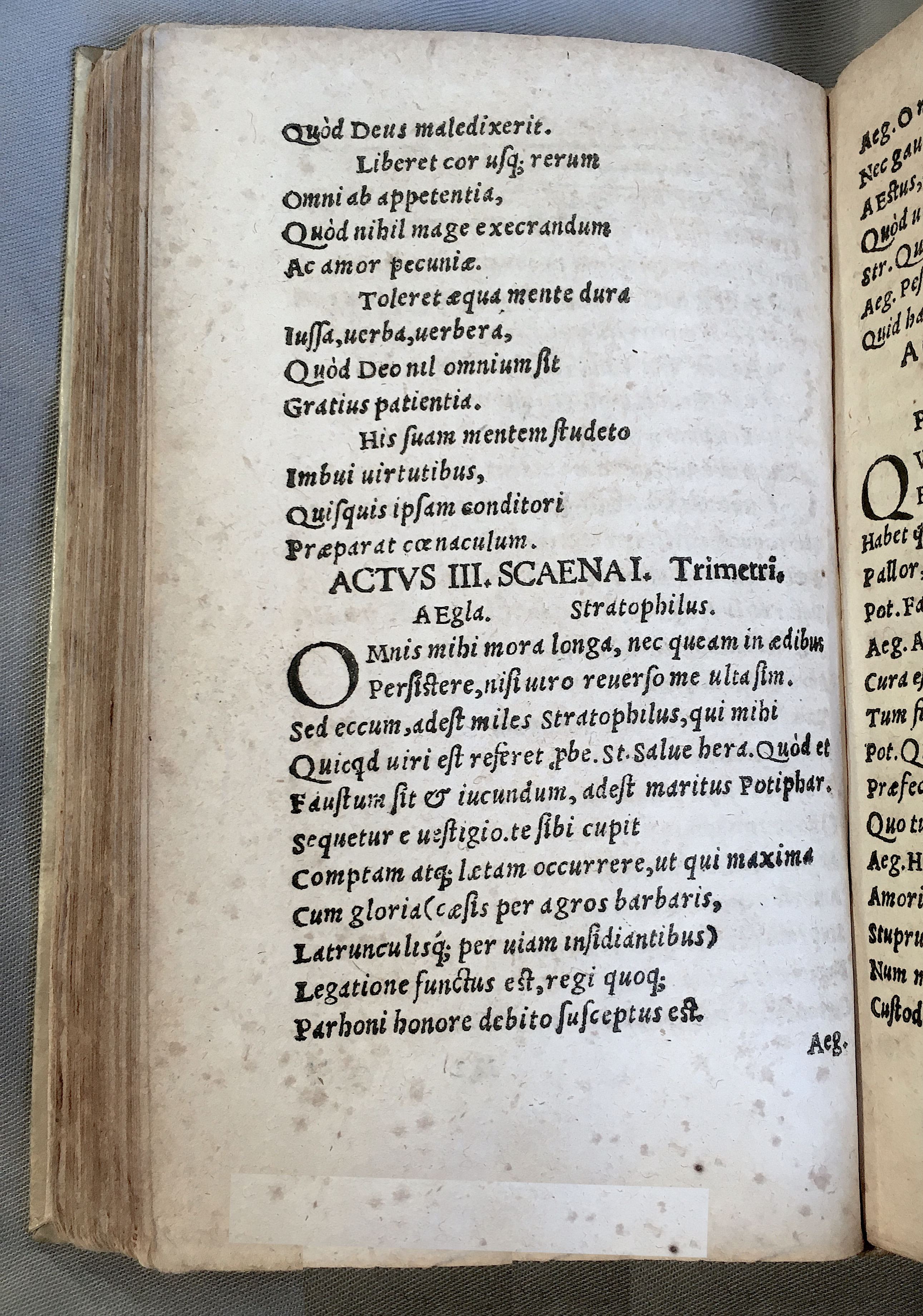 MacropediusIosephus1553p36