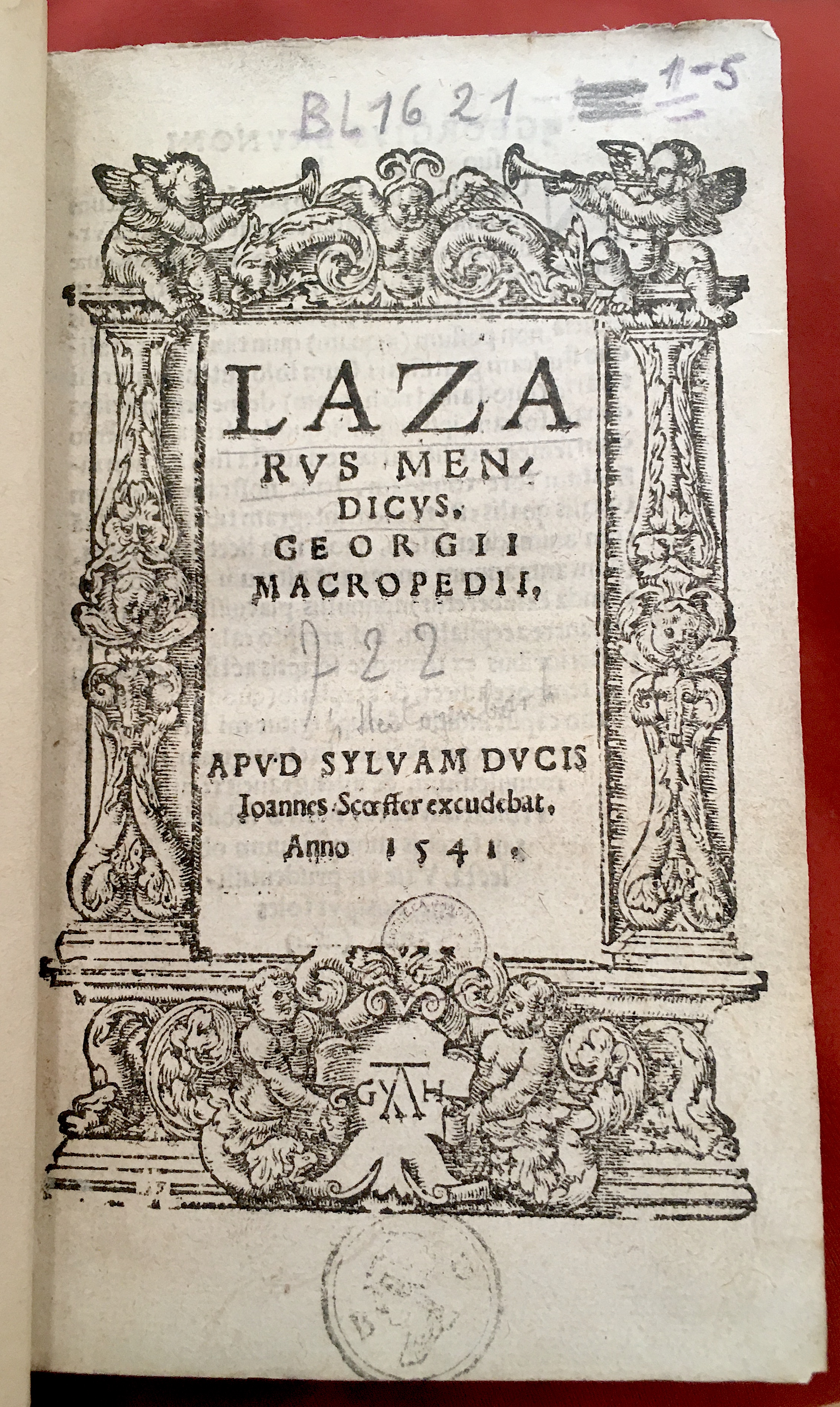 MacropediusLazarus1541b01.jpg