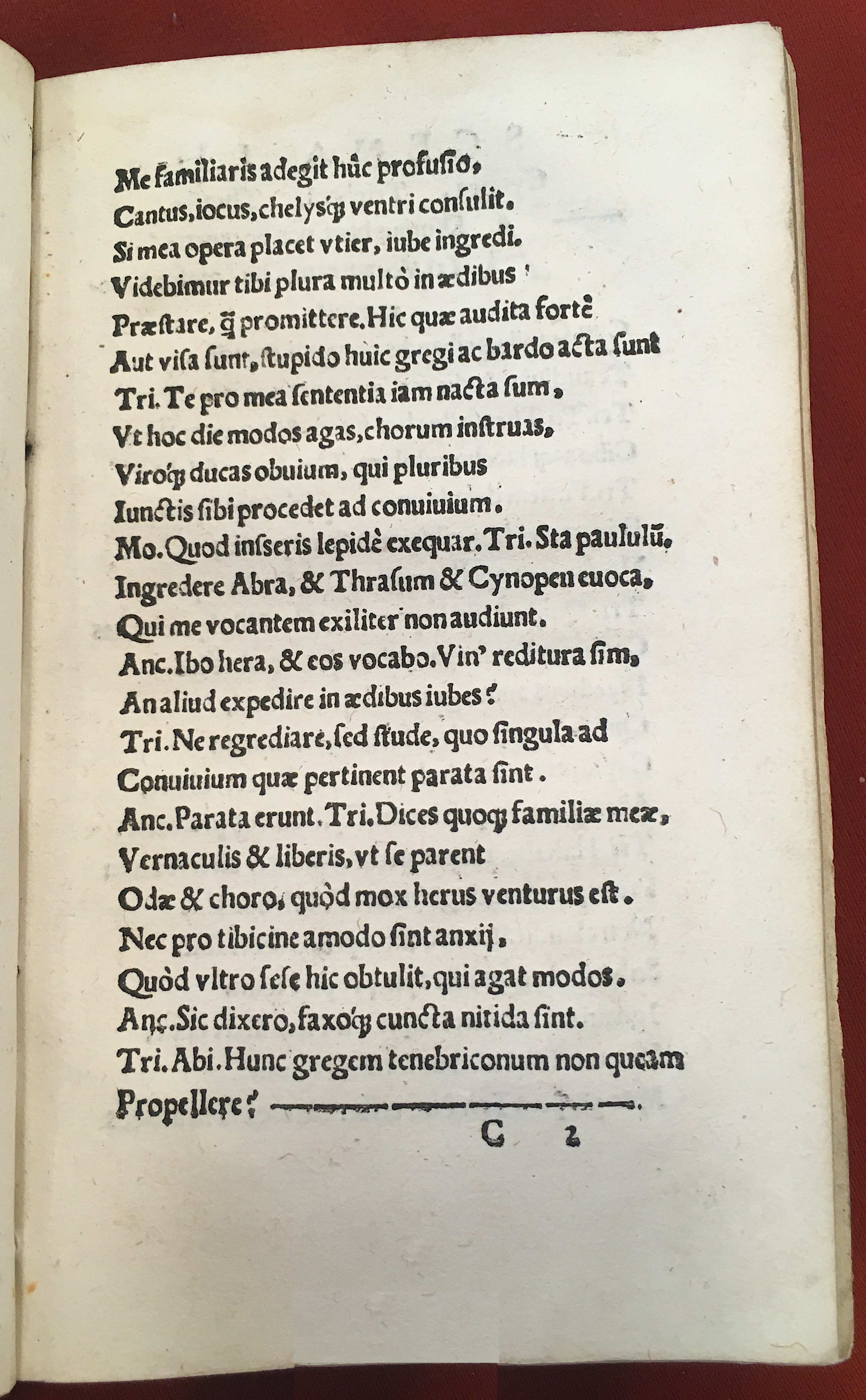 MacropediusLazarus1541b35
