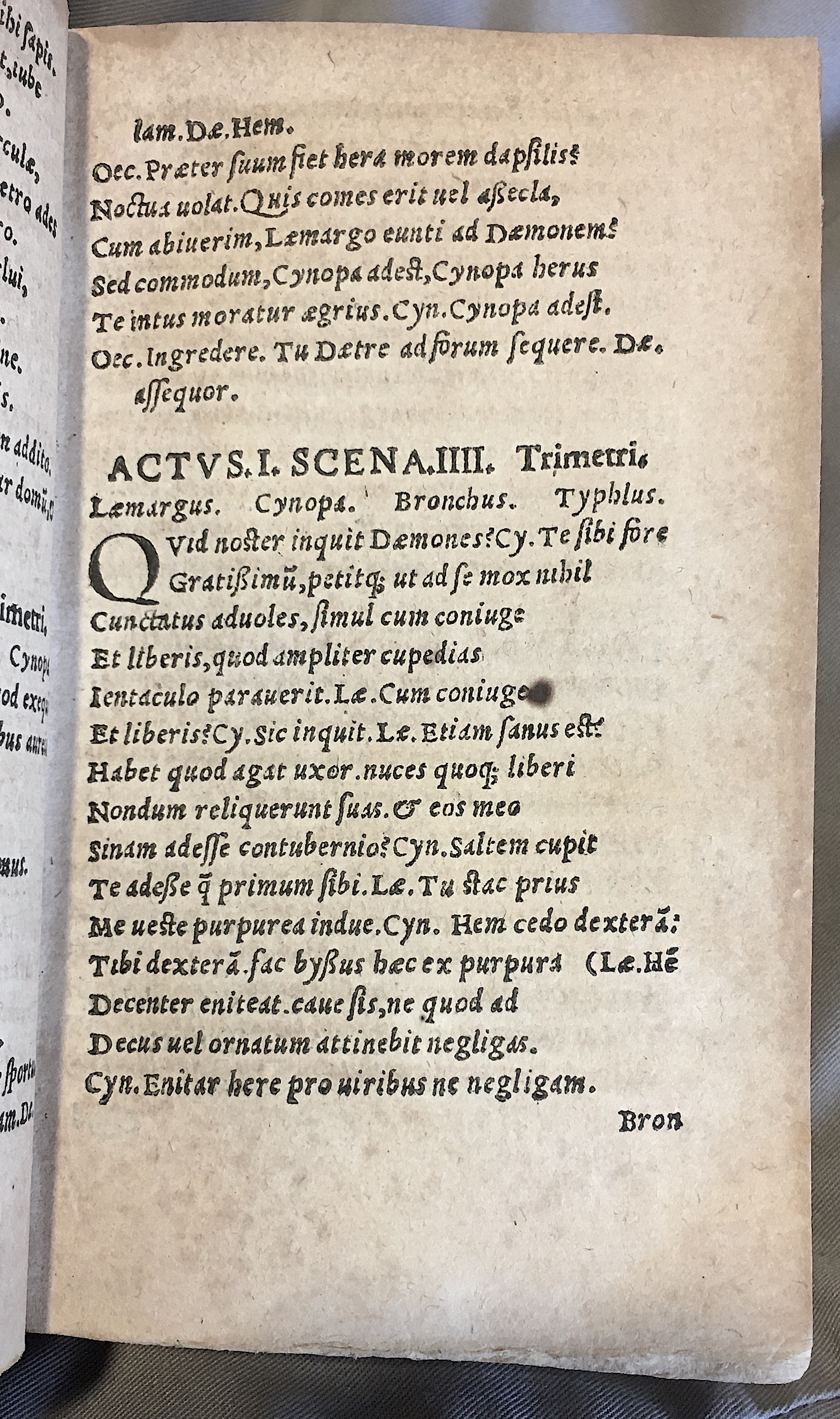 MacropediusLazarus1552p11.jpg