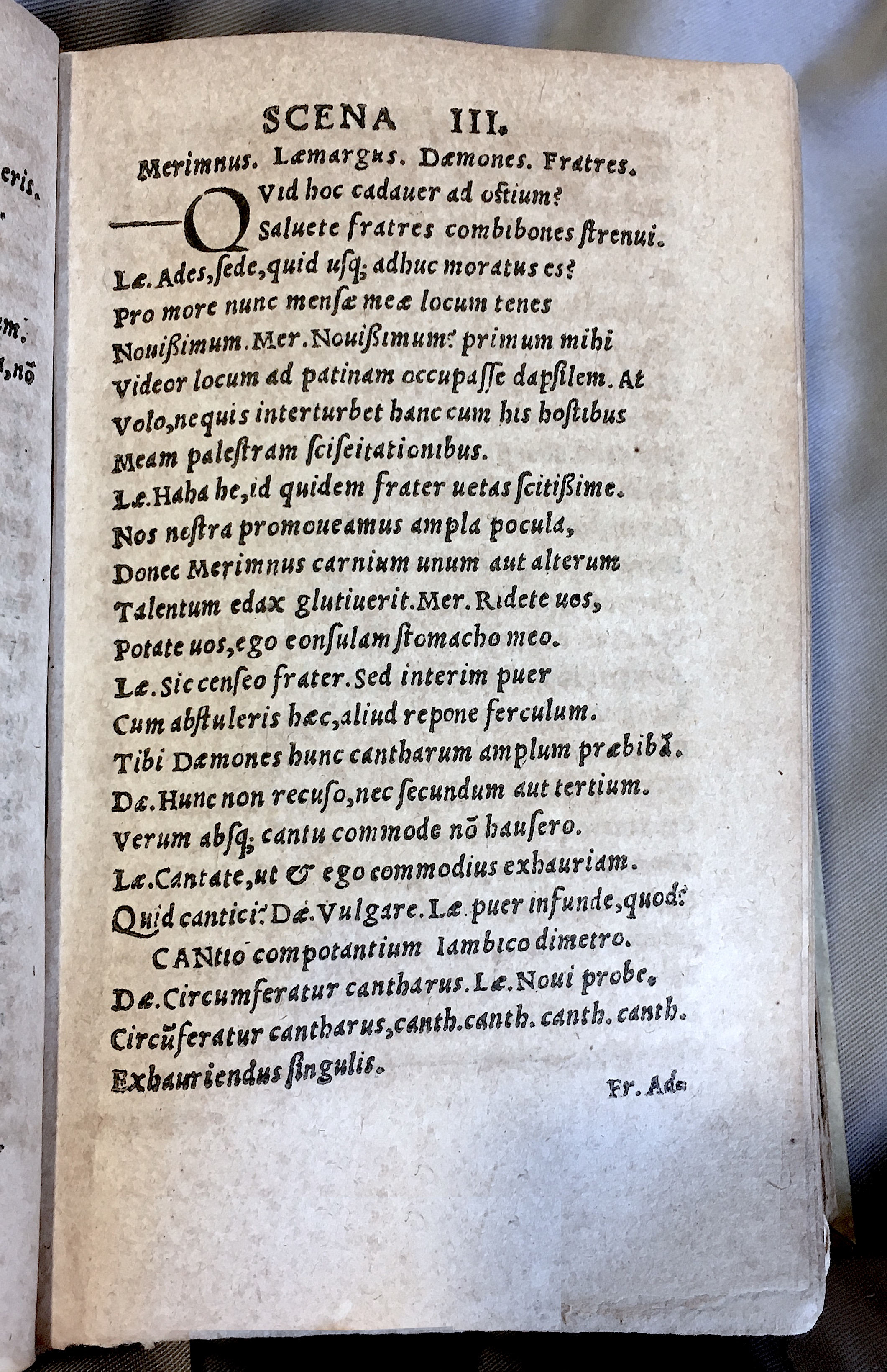 MacropediusLazarus1552p45.jpg