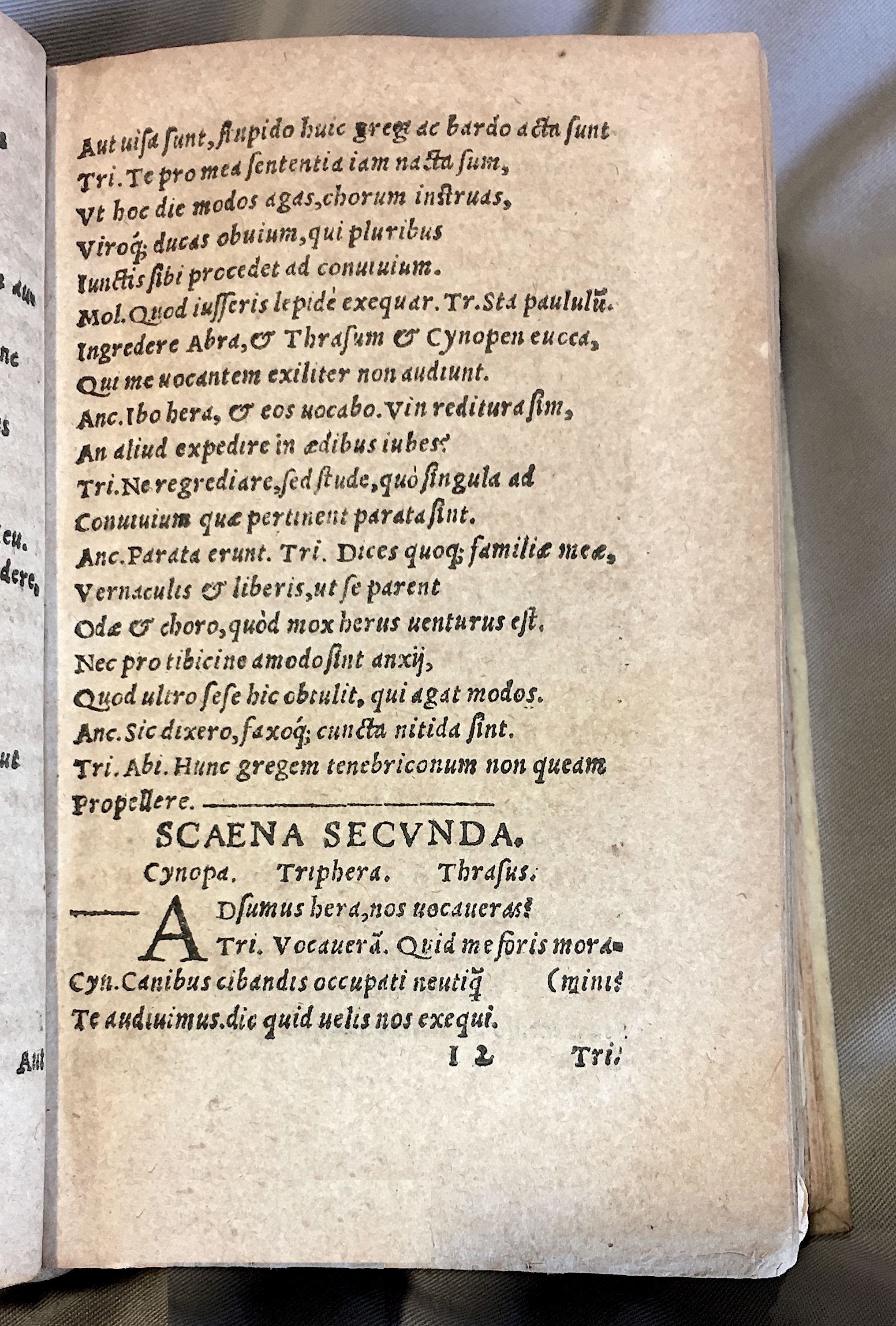 MacropediusLazarus1552p35