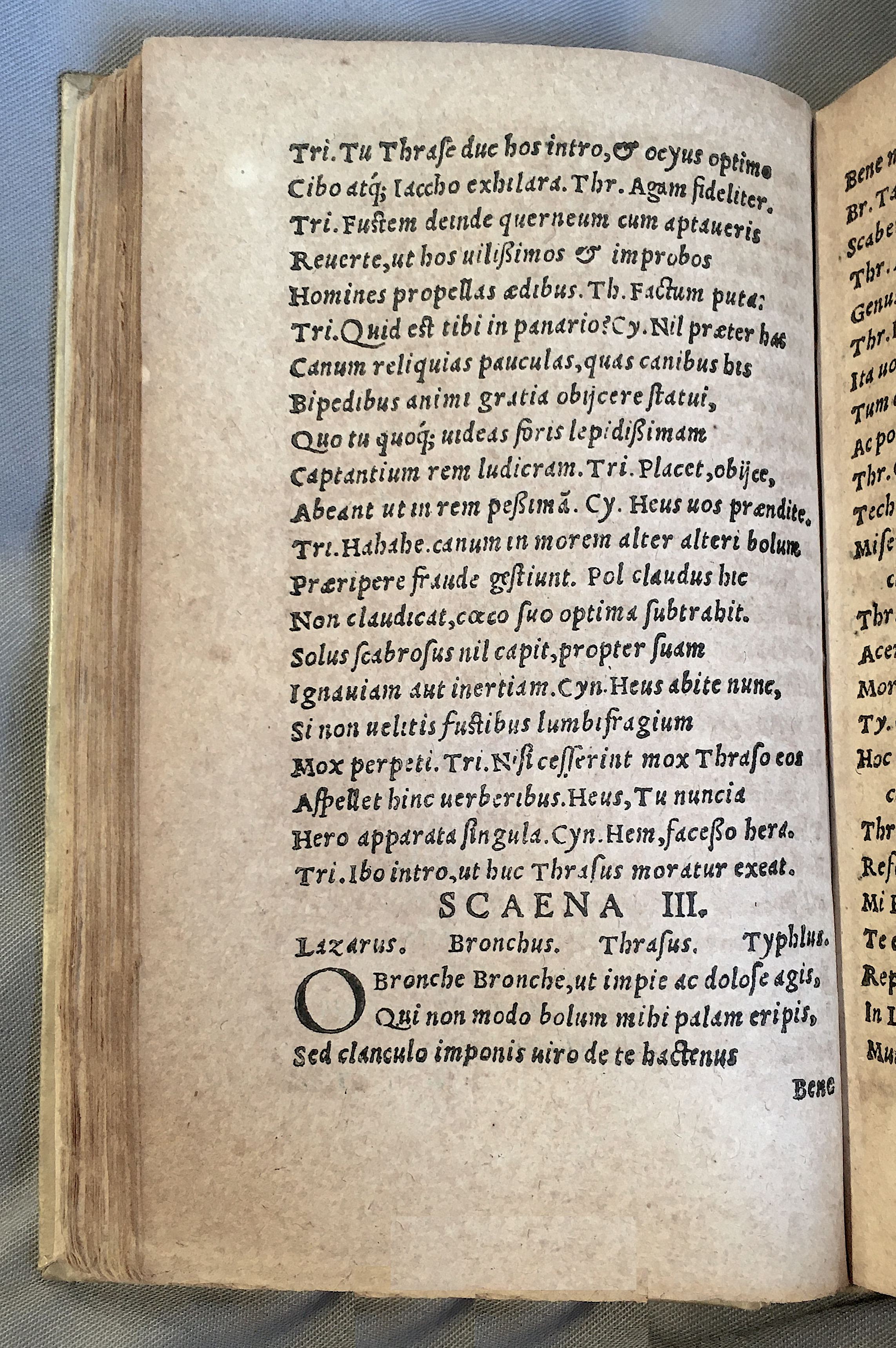 MacropediusLazarus1552p36