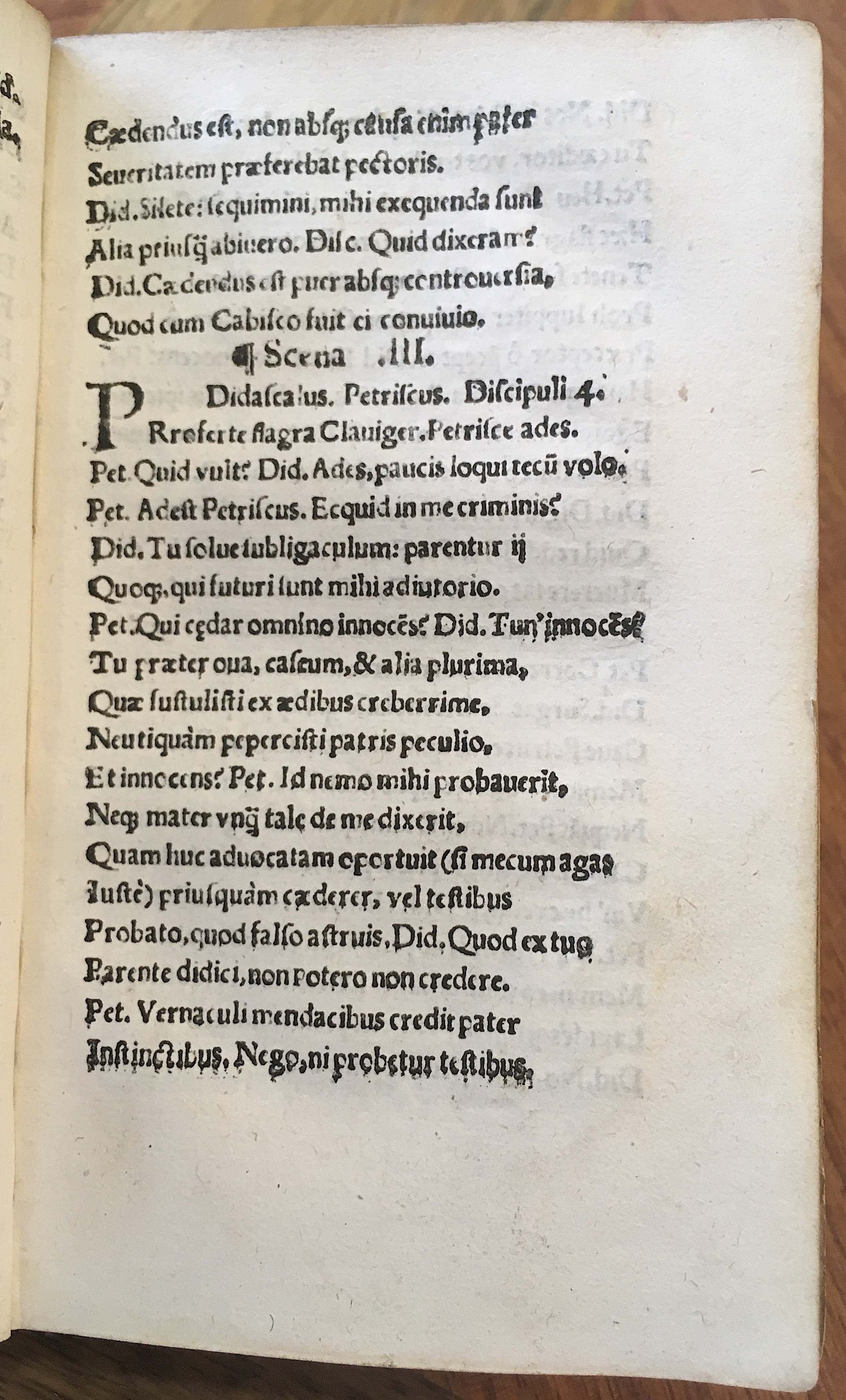 MacropediusPetriscus1536p11.jpg