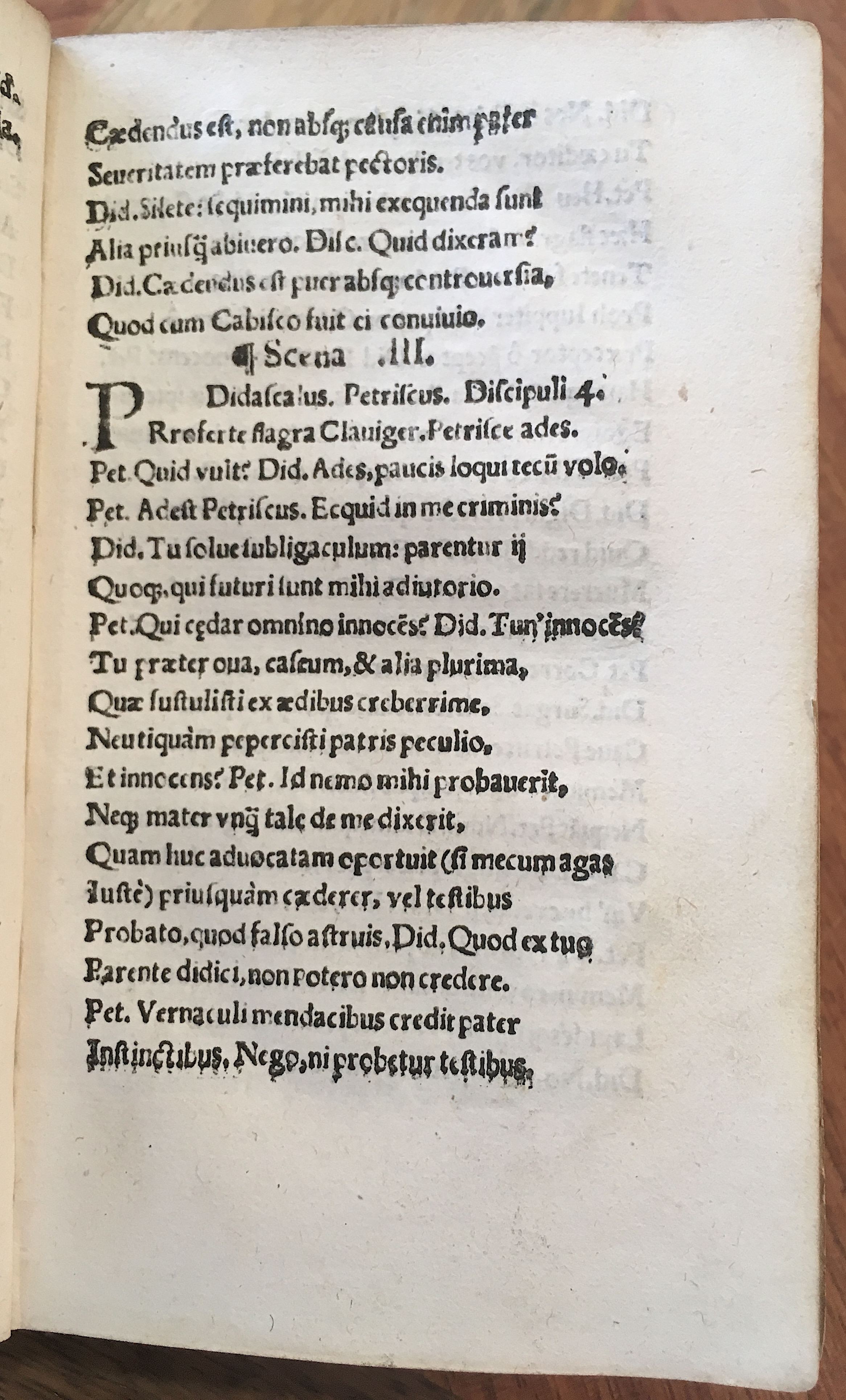 MacropediusPetriscus1536p11