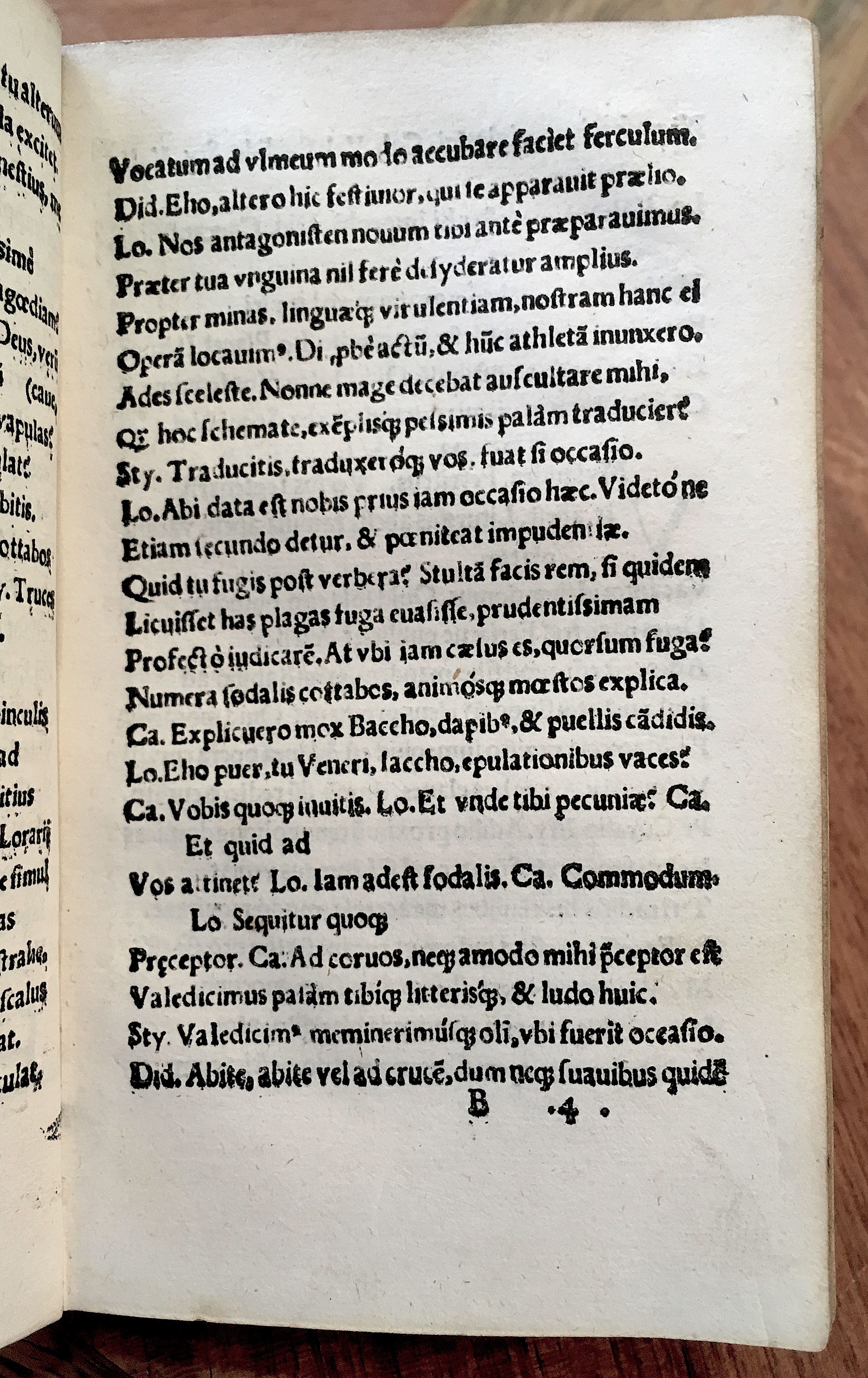 MacropediusPetriscus1536p23