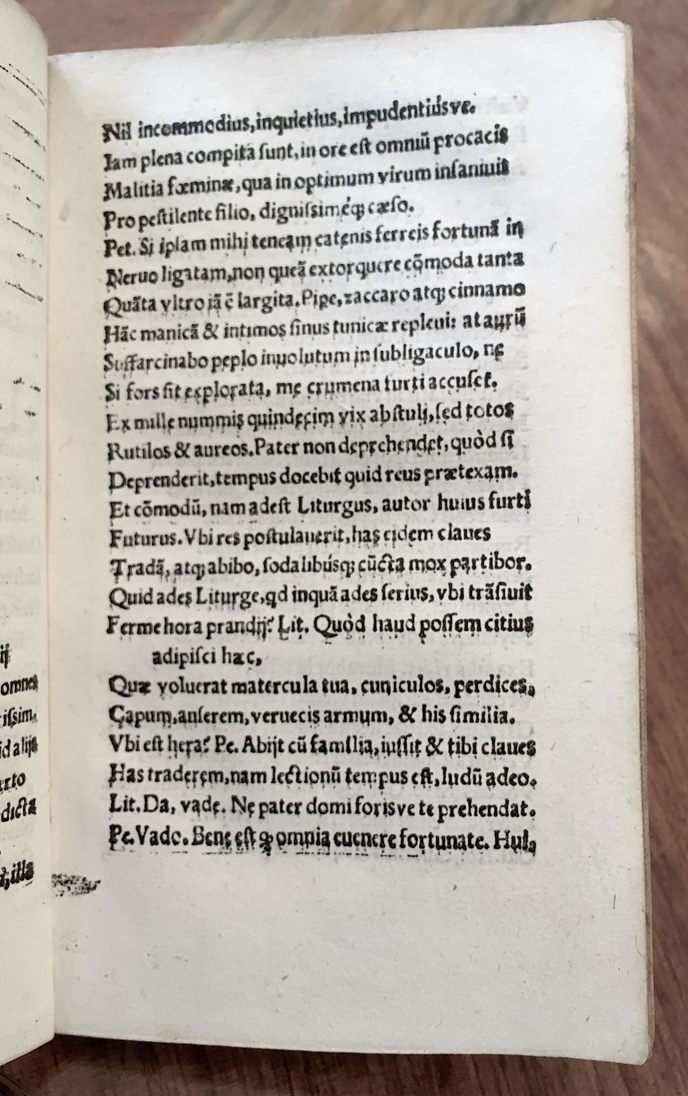 MacropediusPetriscus1536p27