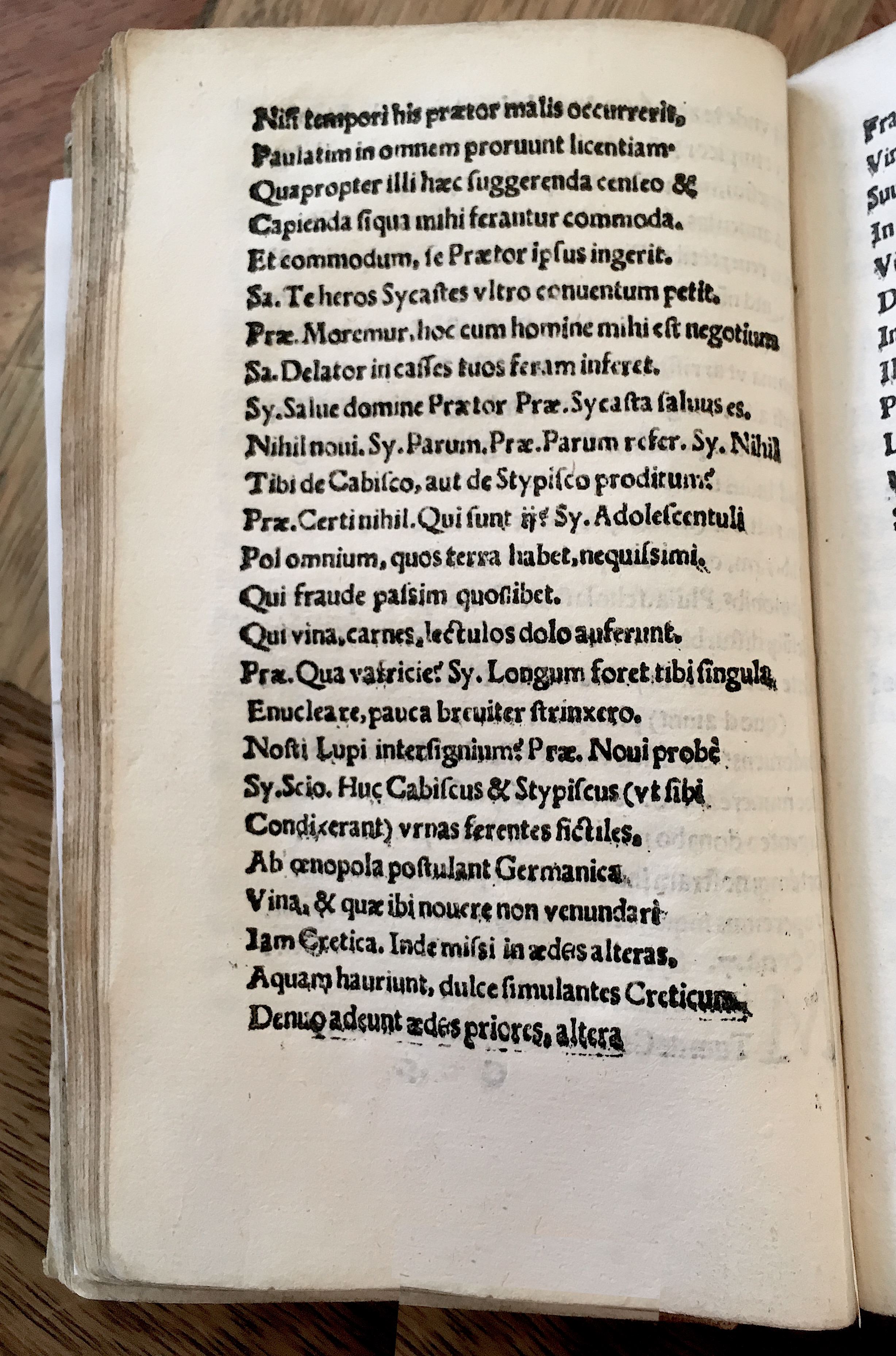 MacropediusPetriscus1536p42