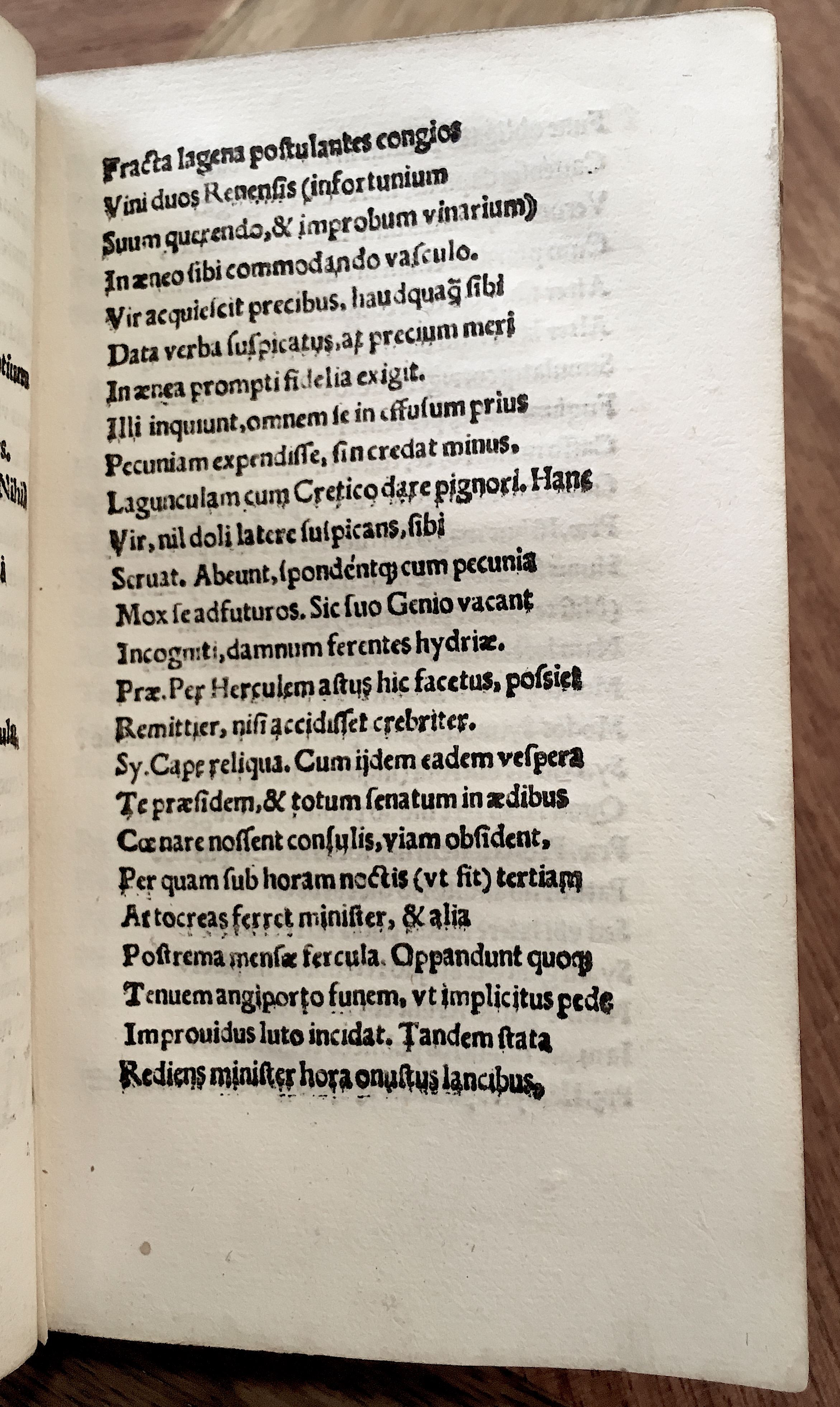 MacropediusPetriscus1536p43