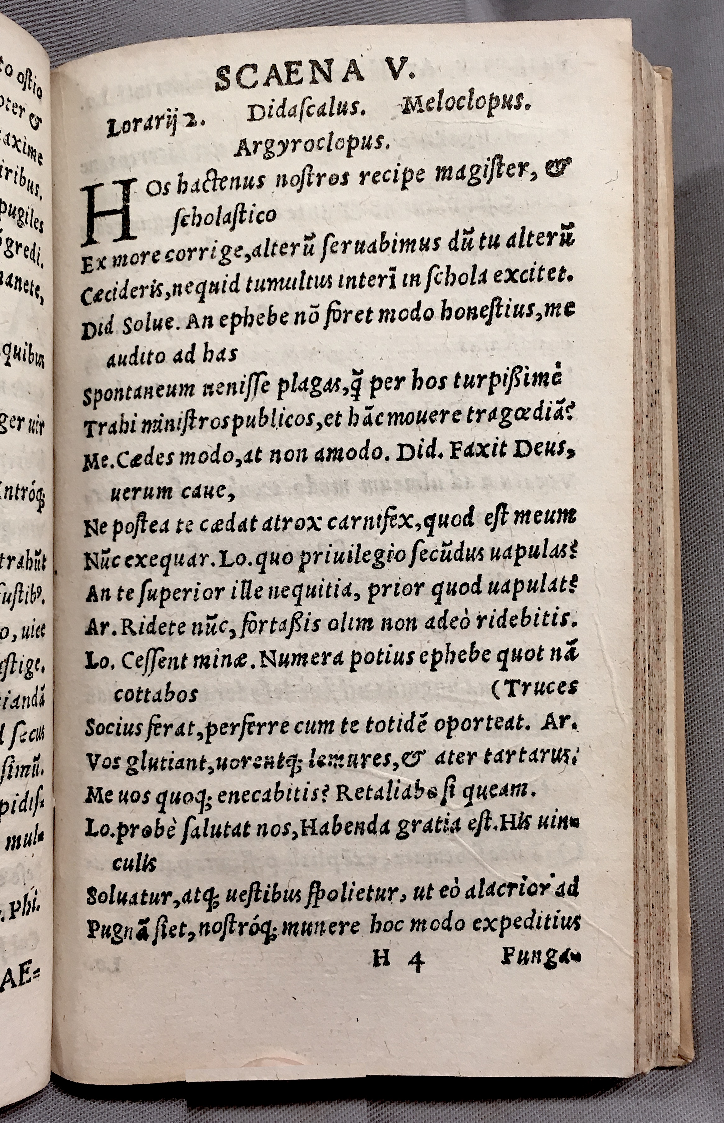 MacropediusPetriscus1553p23.jpg