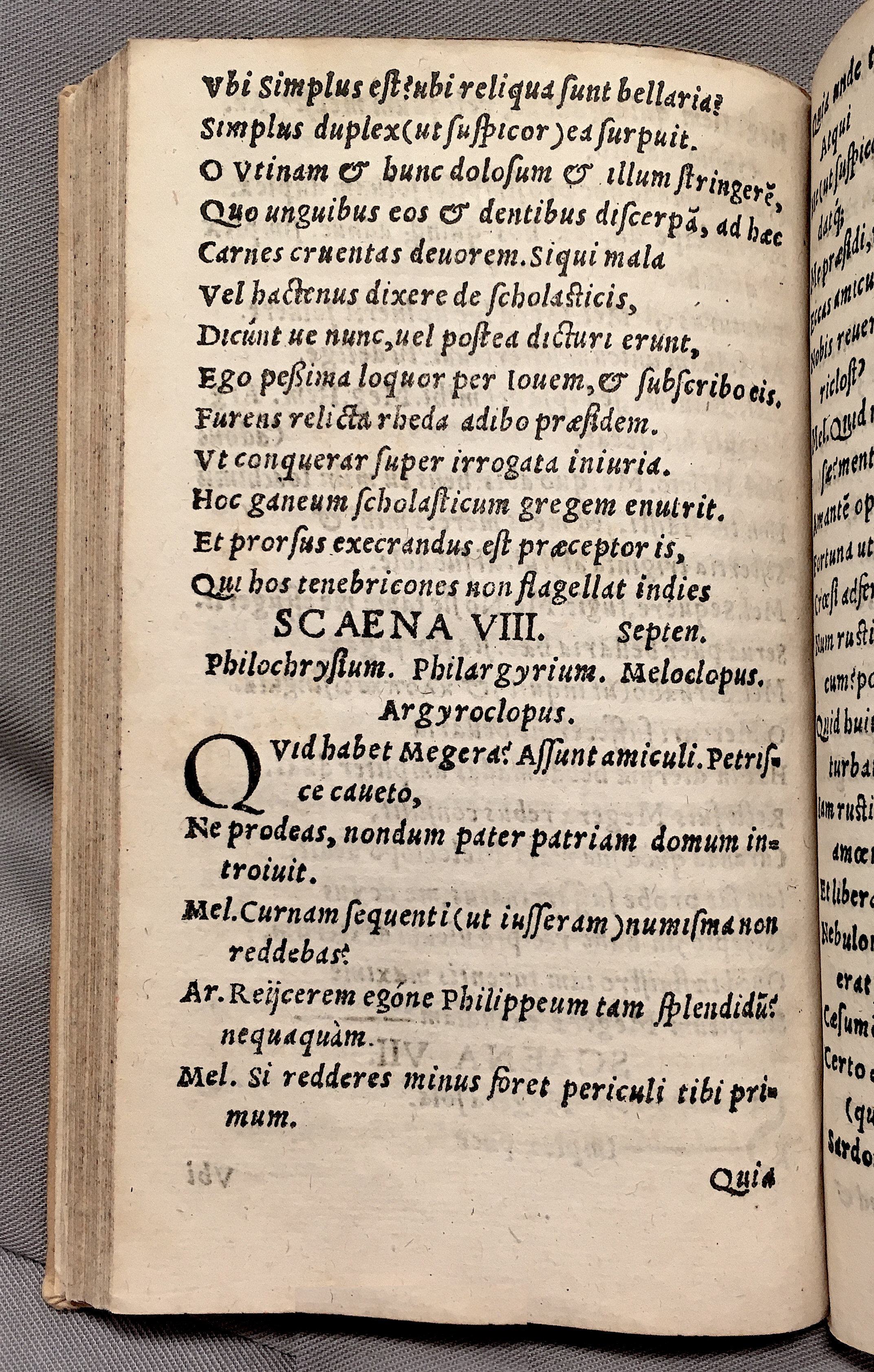 MacropediusPetriscus1553p48.jpg