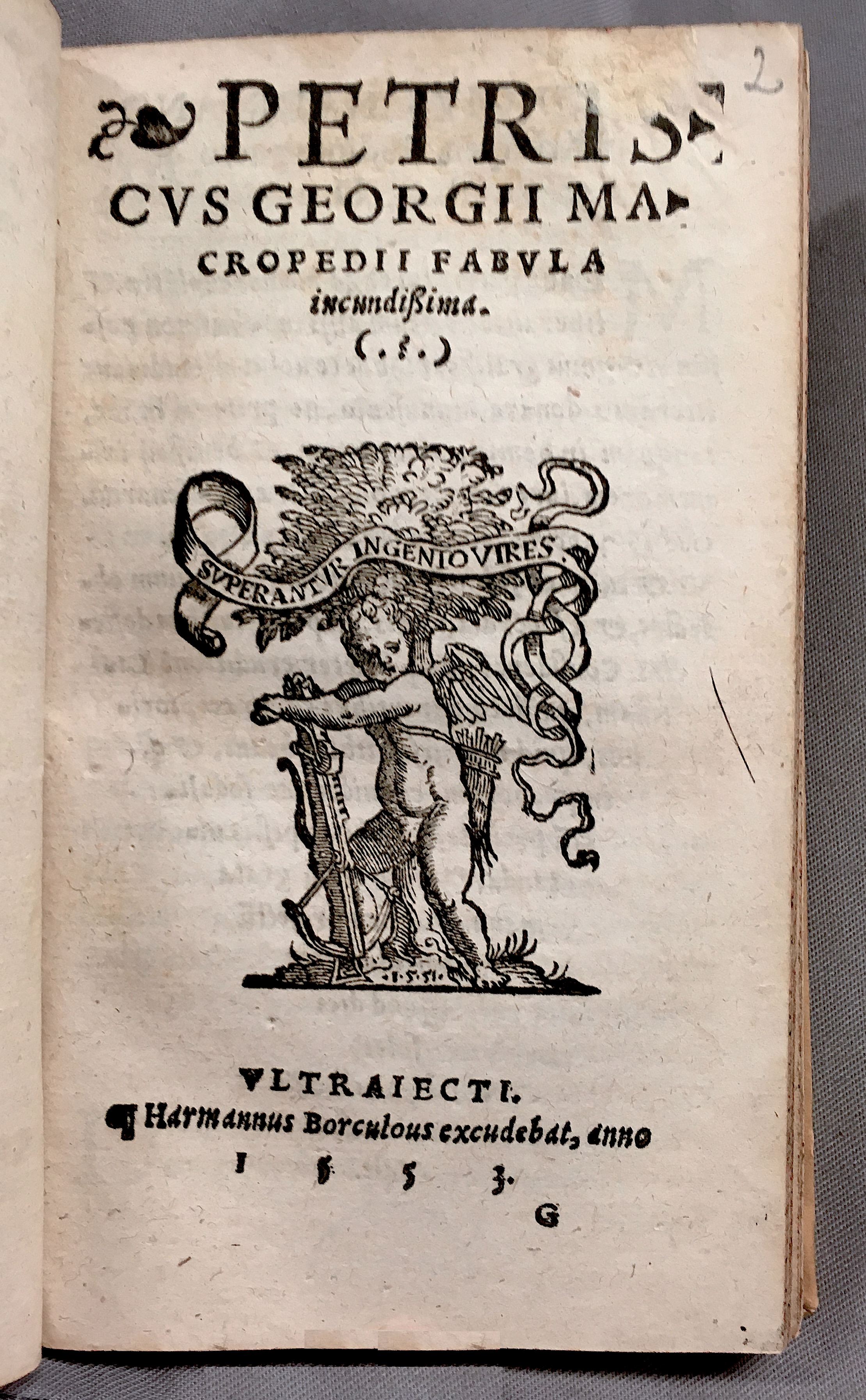 MacropediusPetriscus1553p01