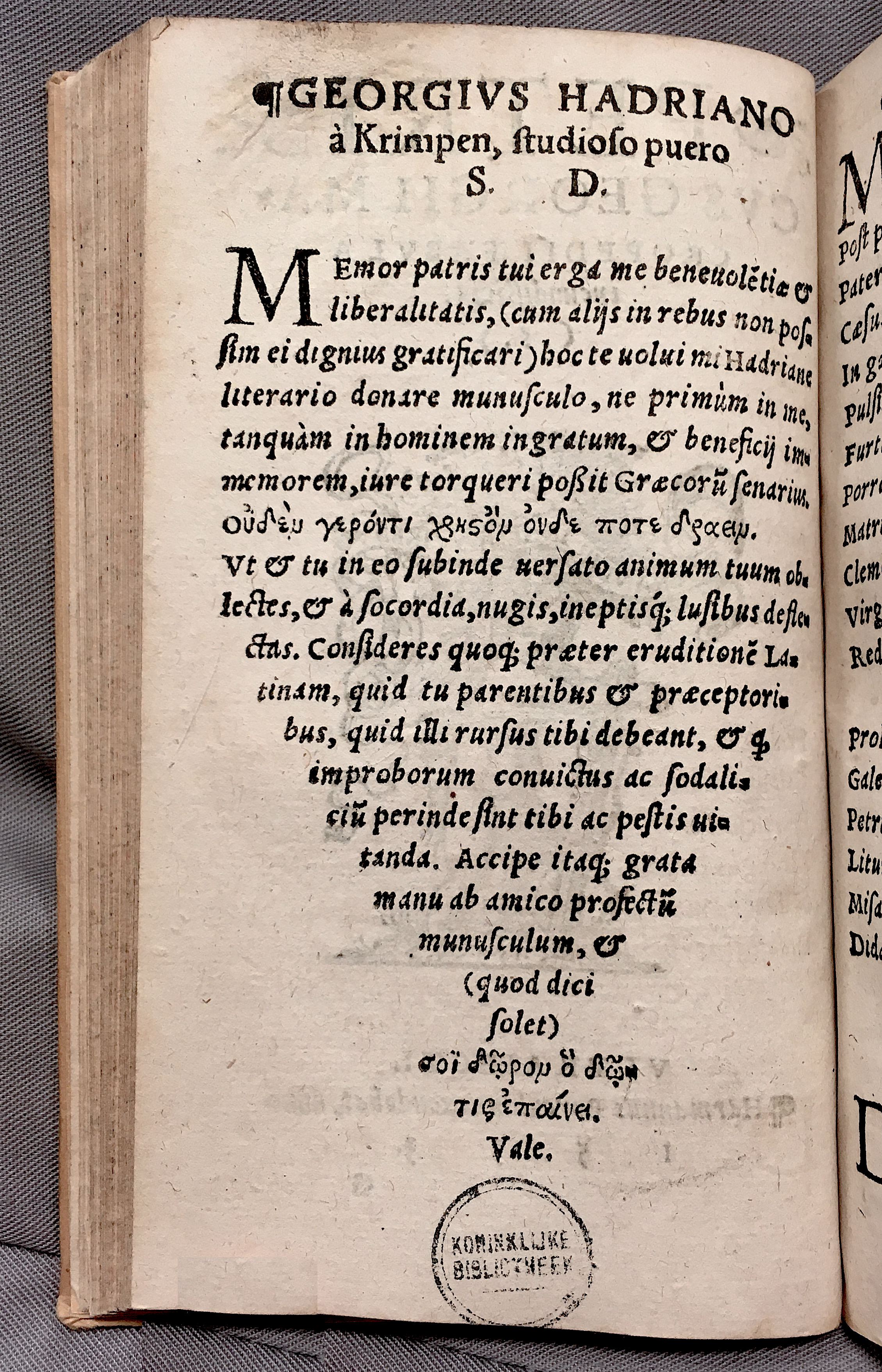MacropediusPetriscus1553p02