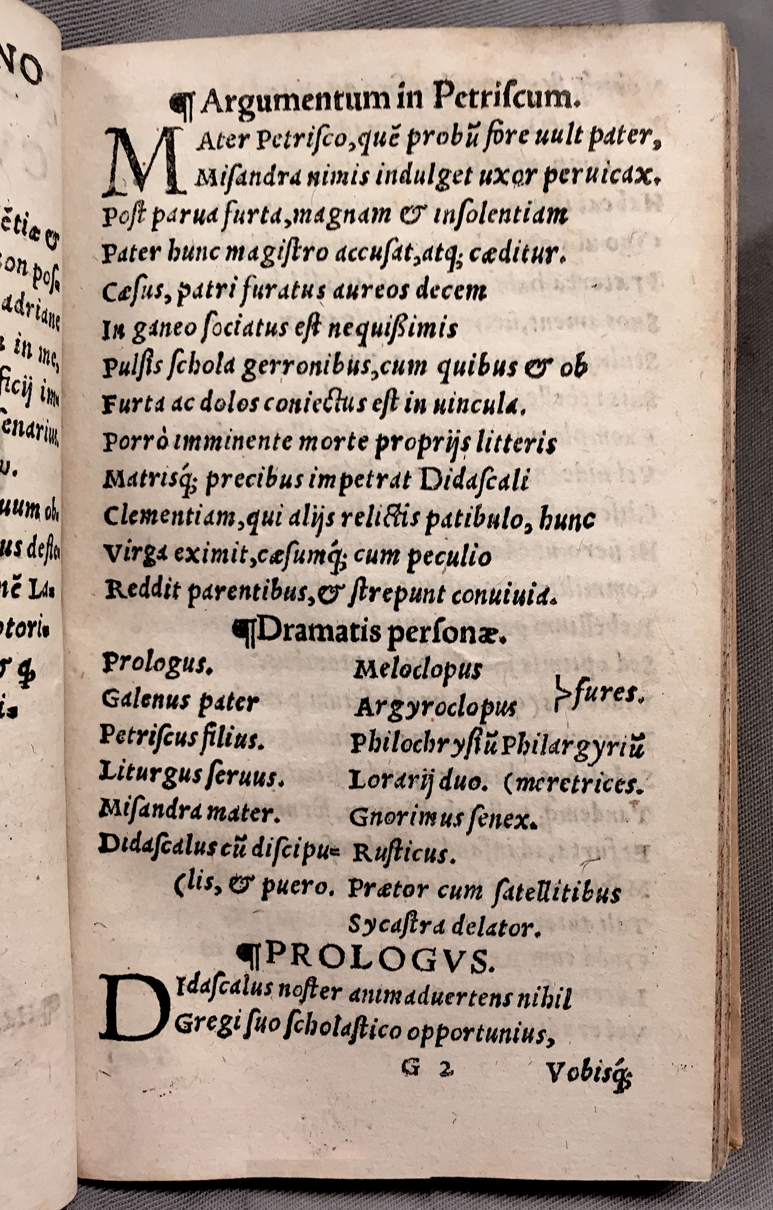 MacropediusPetriscus1553p03