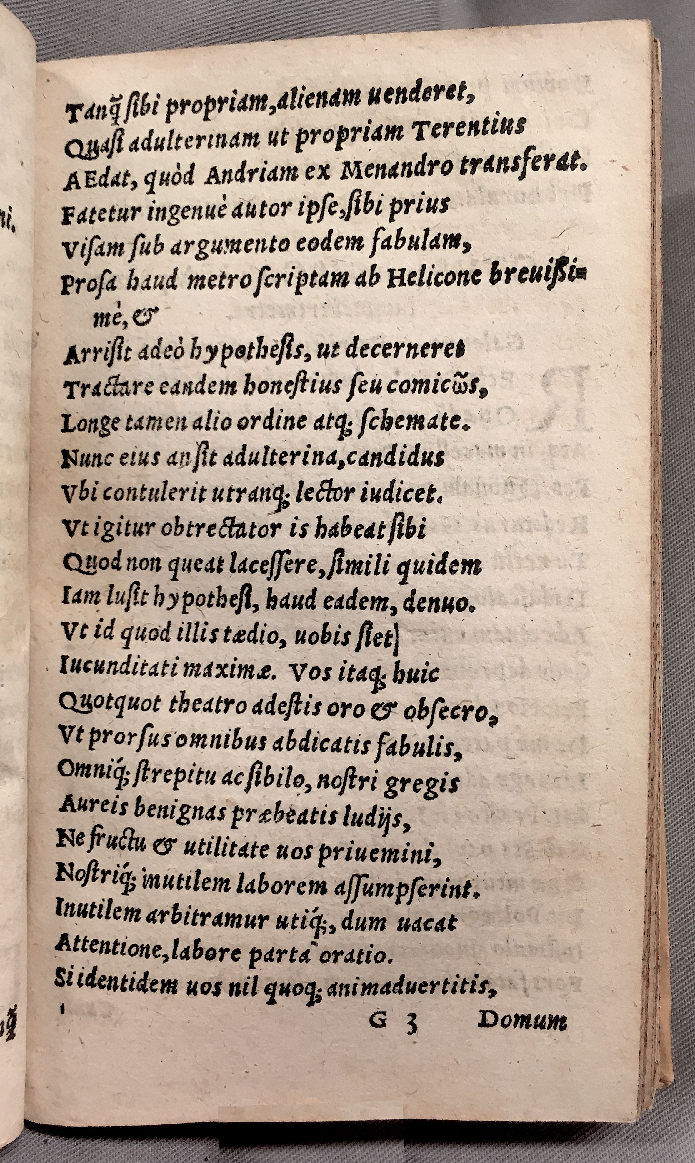 MacropediusPetriscus1553p05