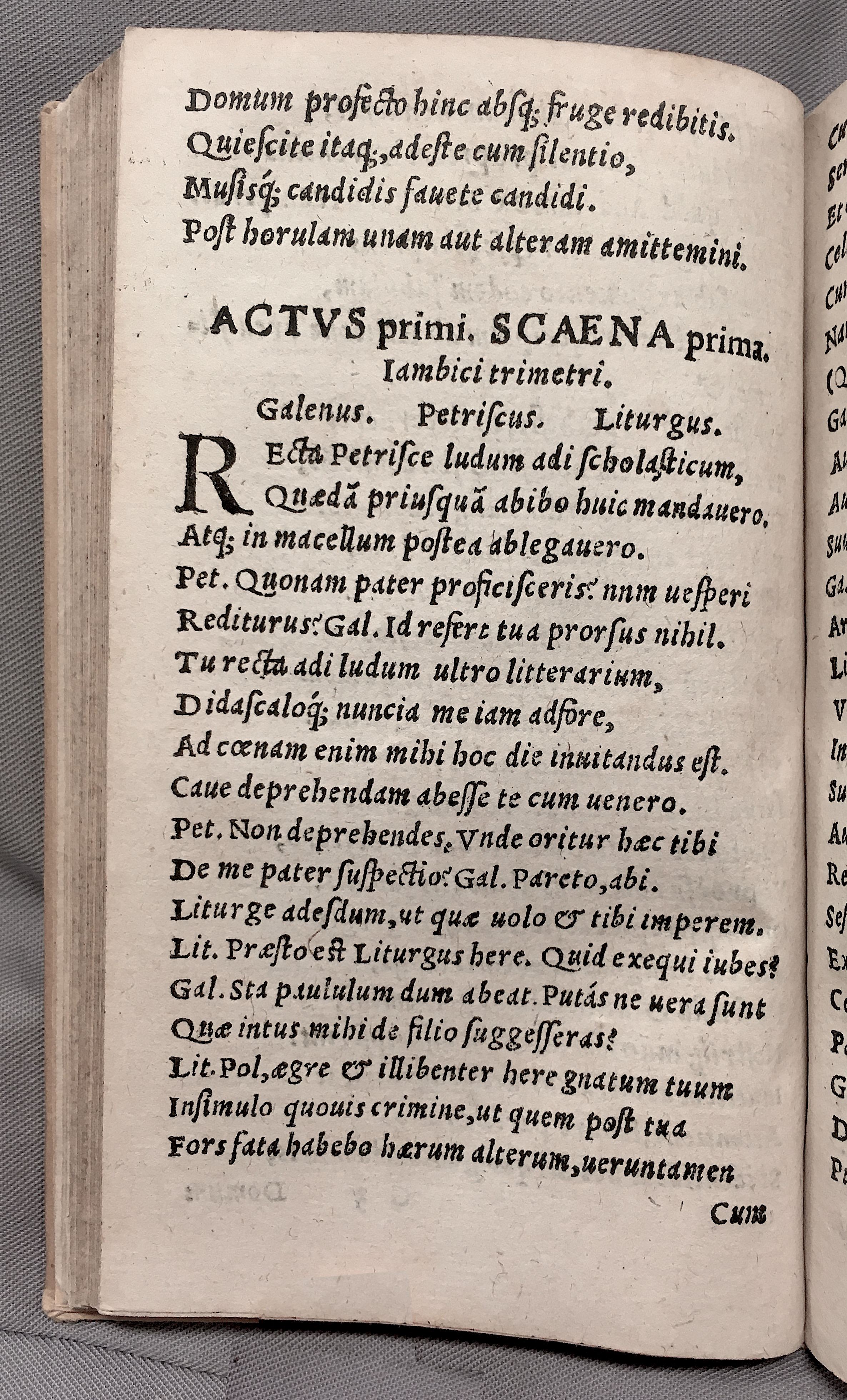 MacropediusPetriscus1553p06