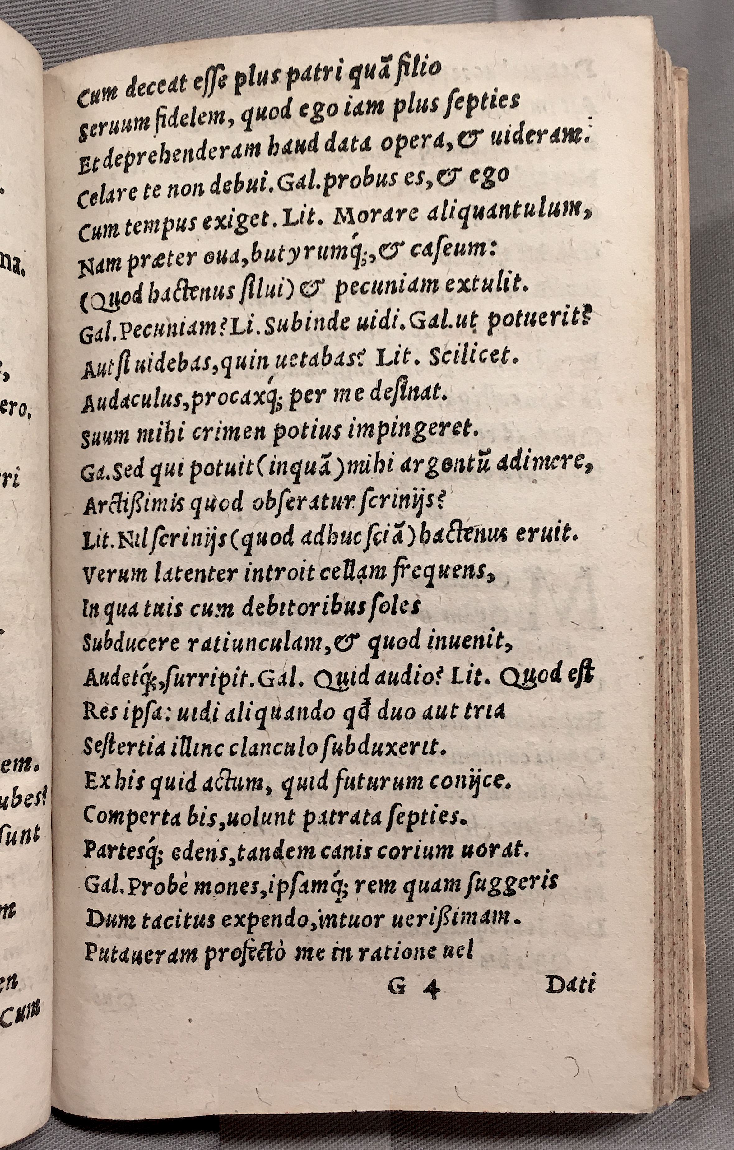 MacropediusPetriscus1553p07