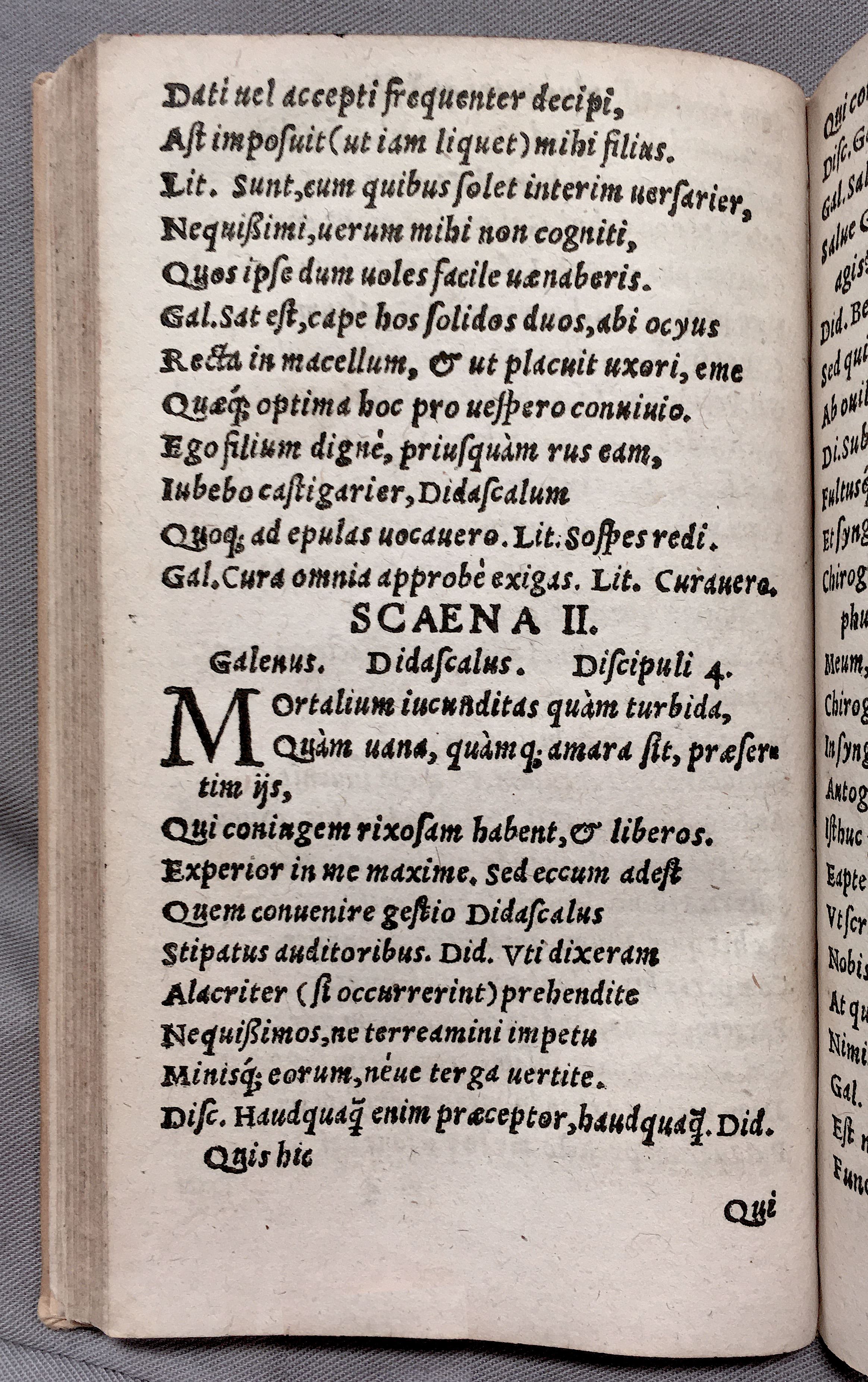 MacropediusPetriscus1553p08