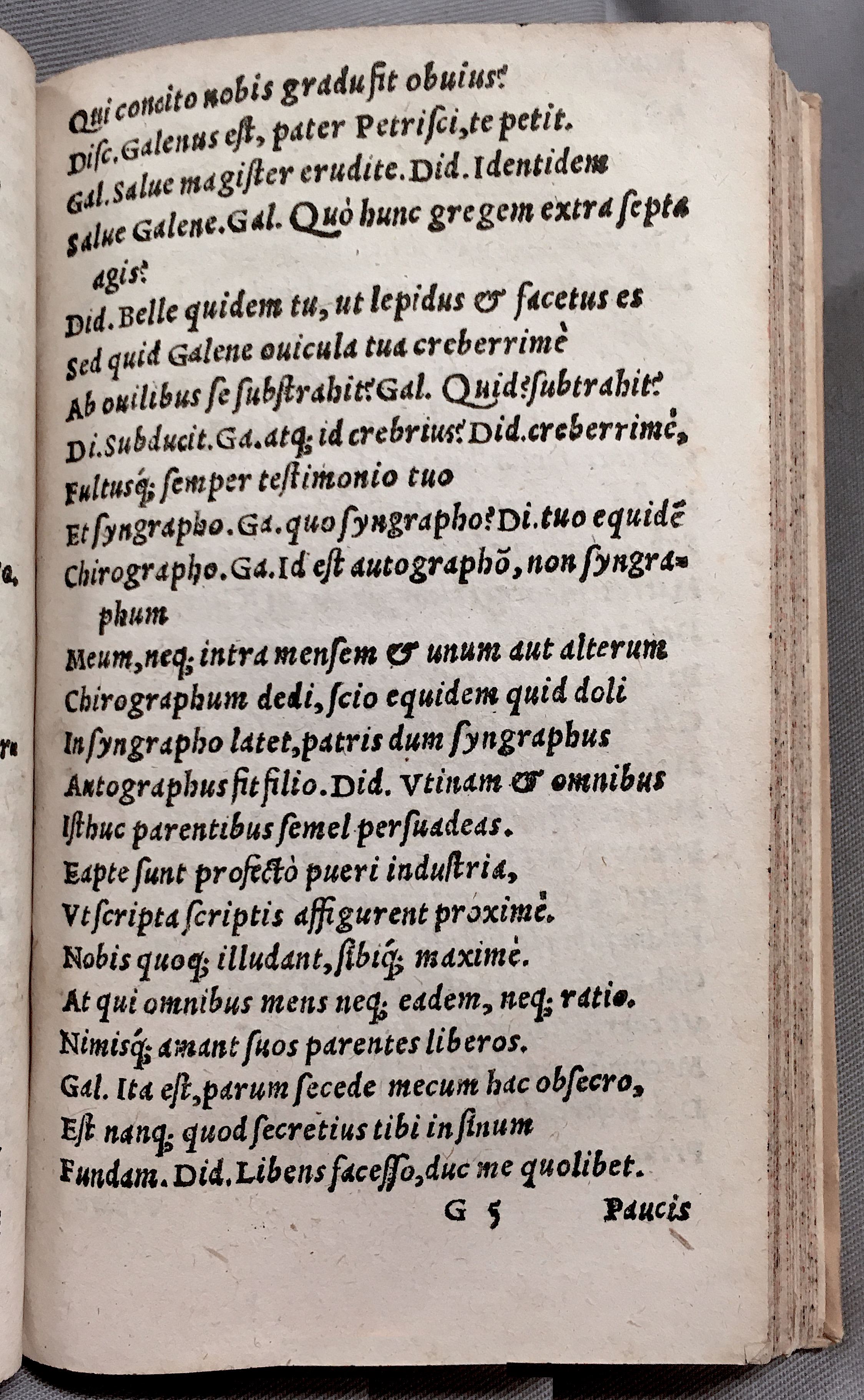 MacropediusPetriscus1553p09