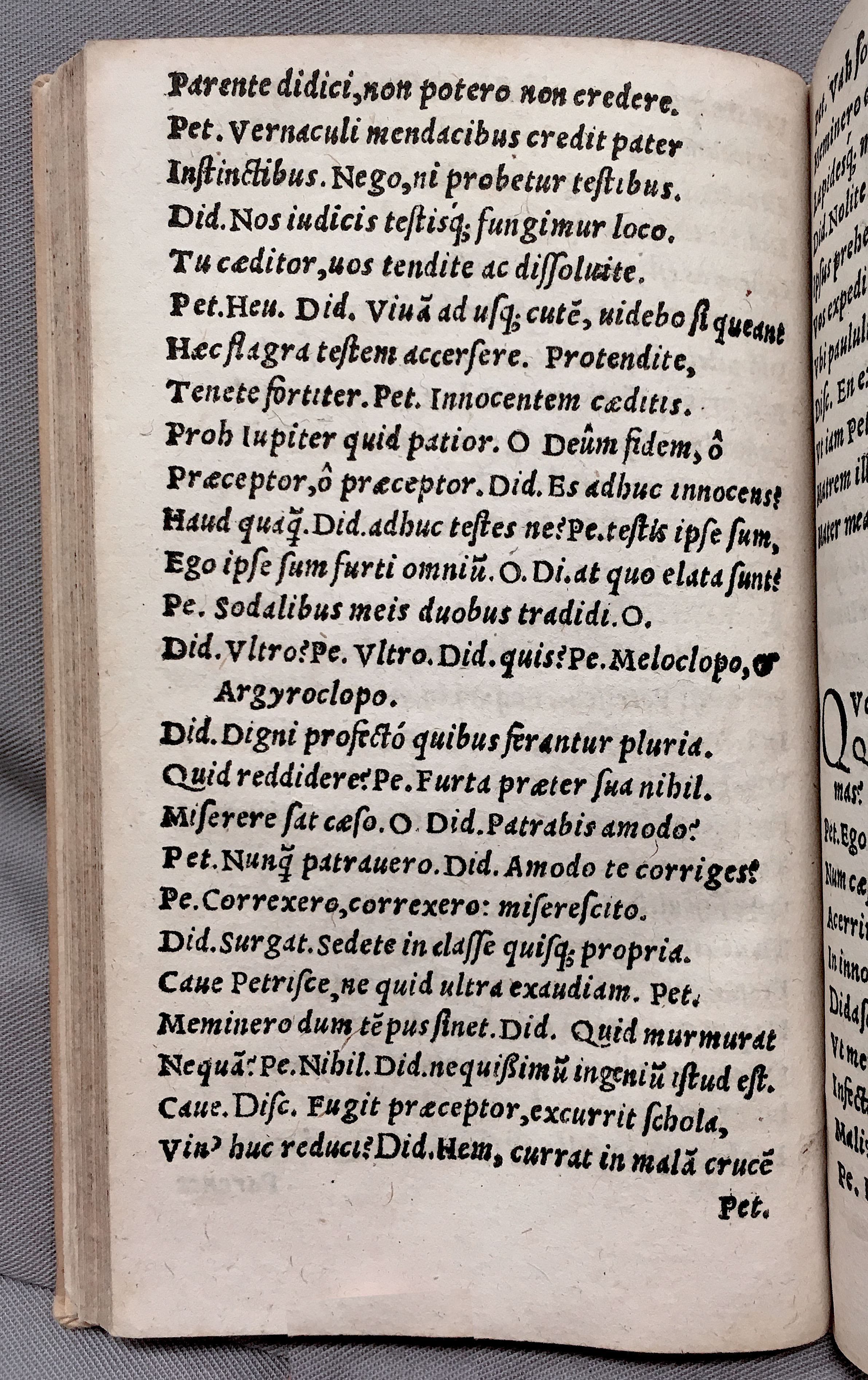 MacropediusPetriscus1553p12
