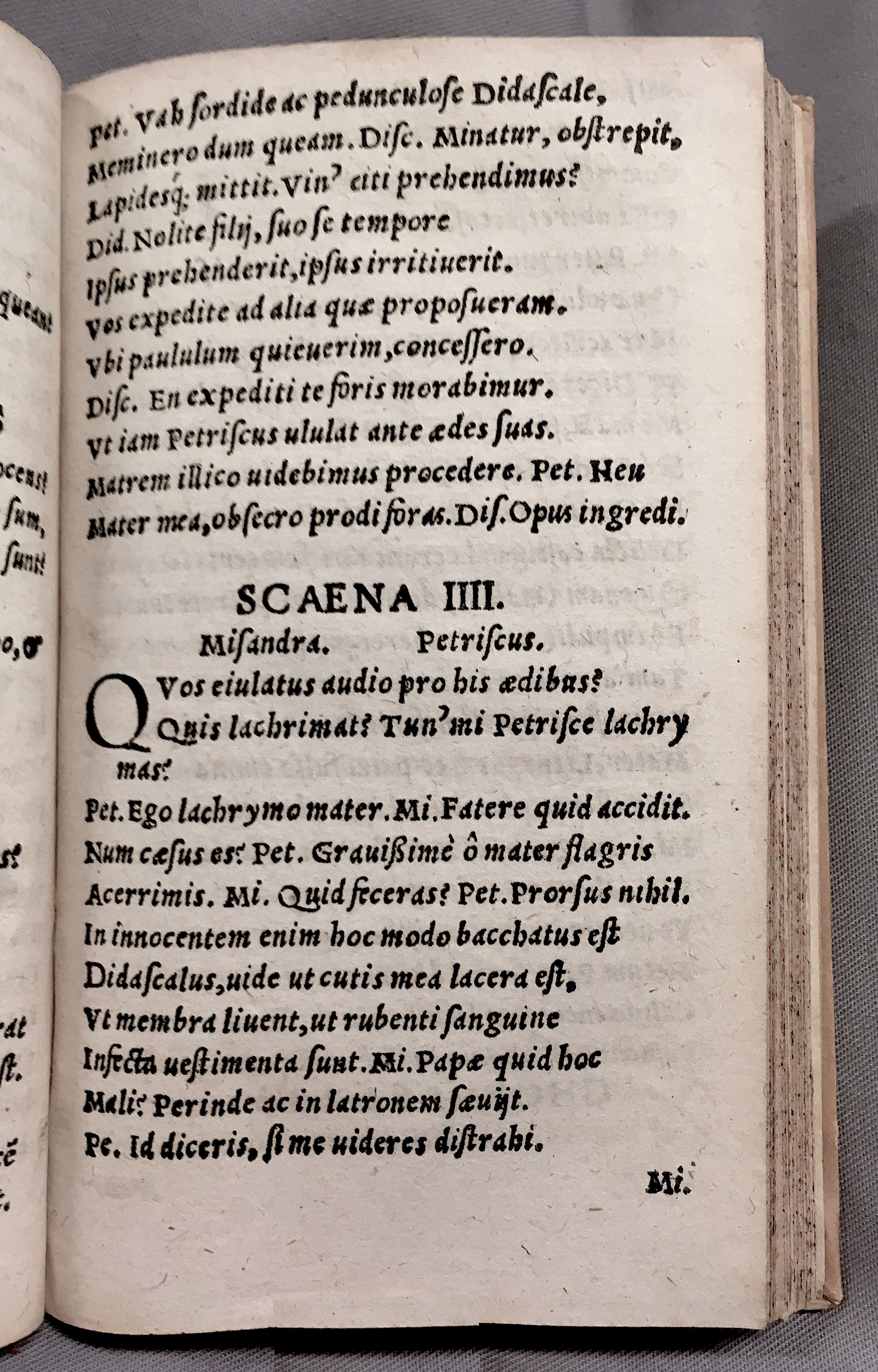 MacropediusPetriscus1553p13