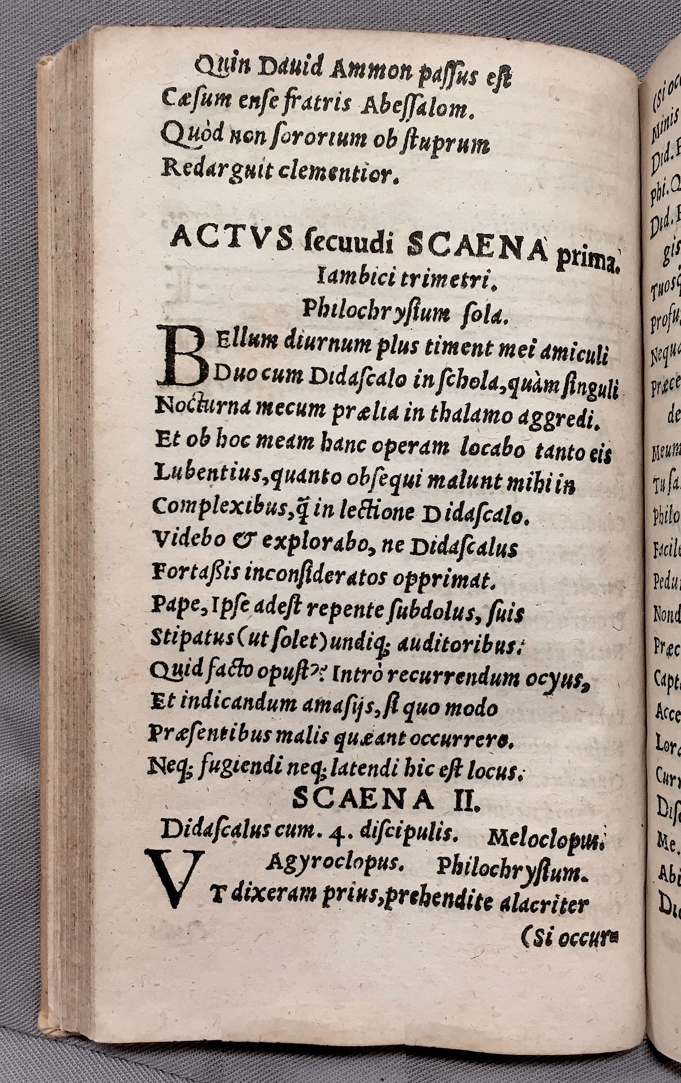 MacropediusPetriscus1553p16