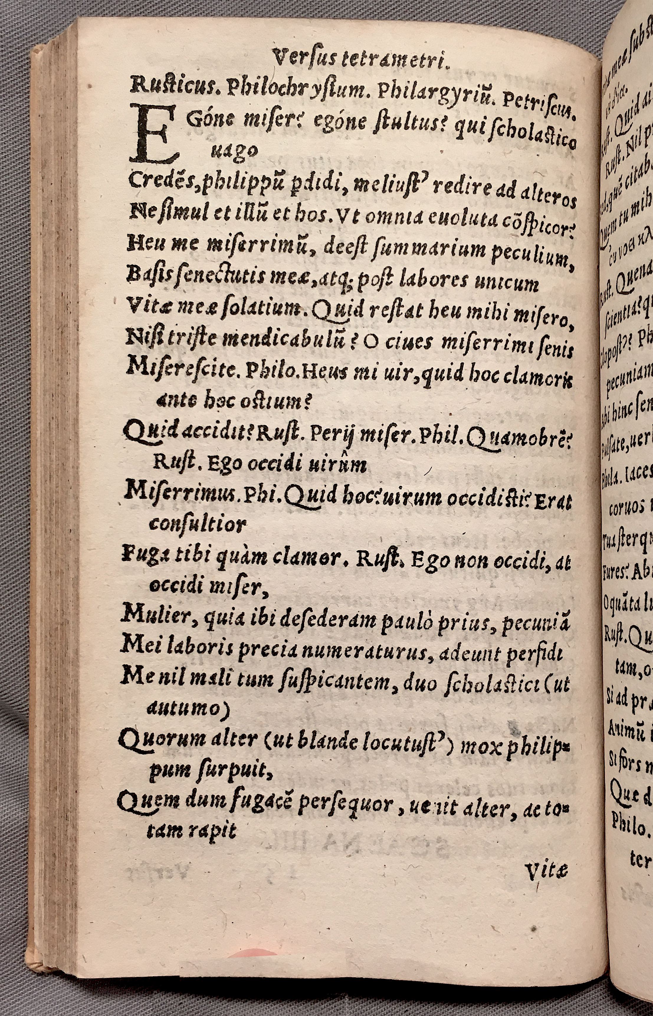 MacropediusPetriscus1553p42