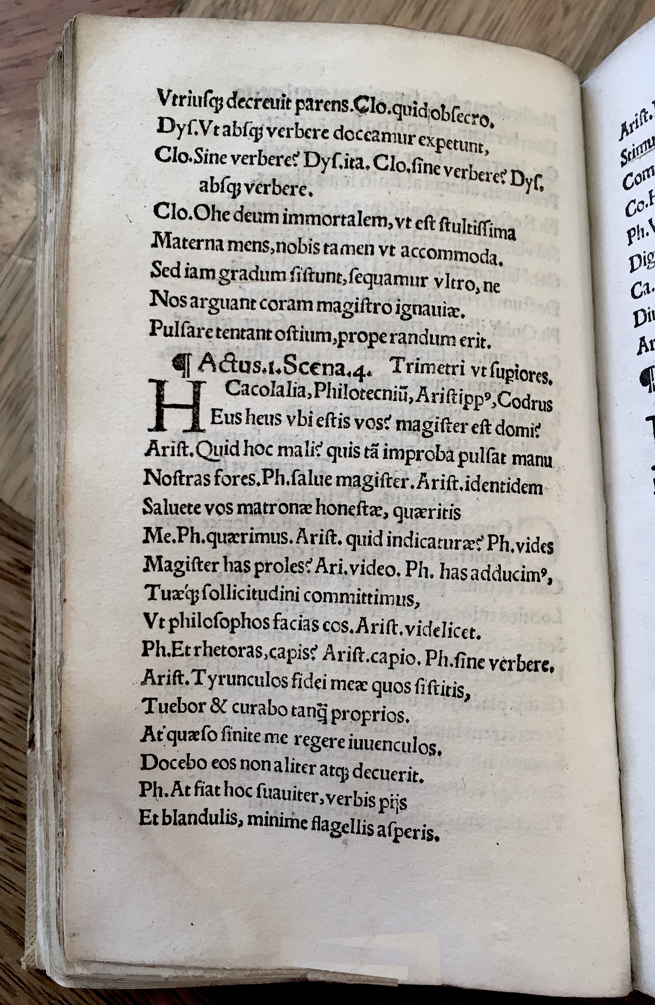 MacropediusRebelles1535p12.jpg
