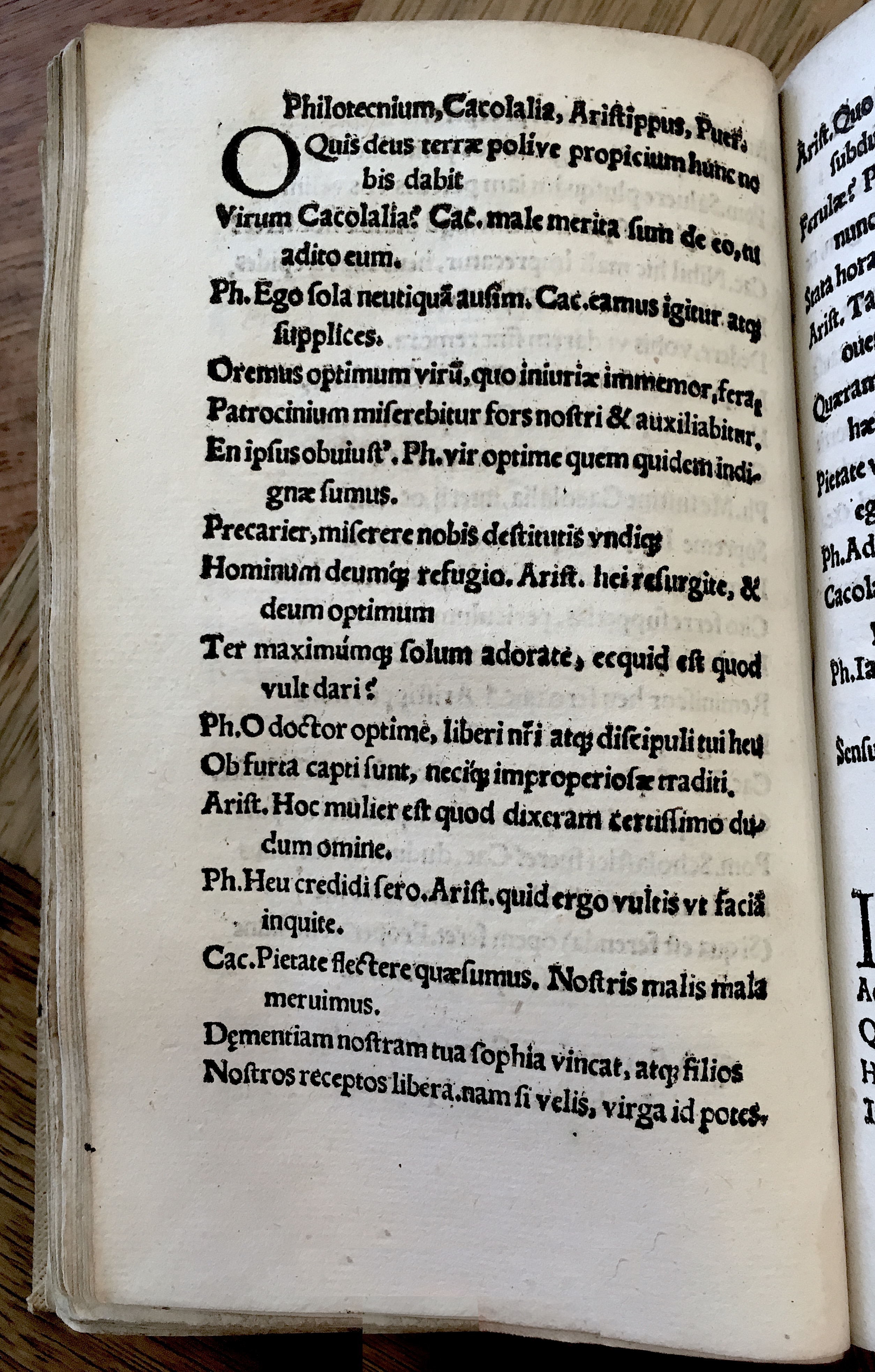 MacropediusRebelles1535p40.jpg