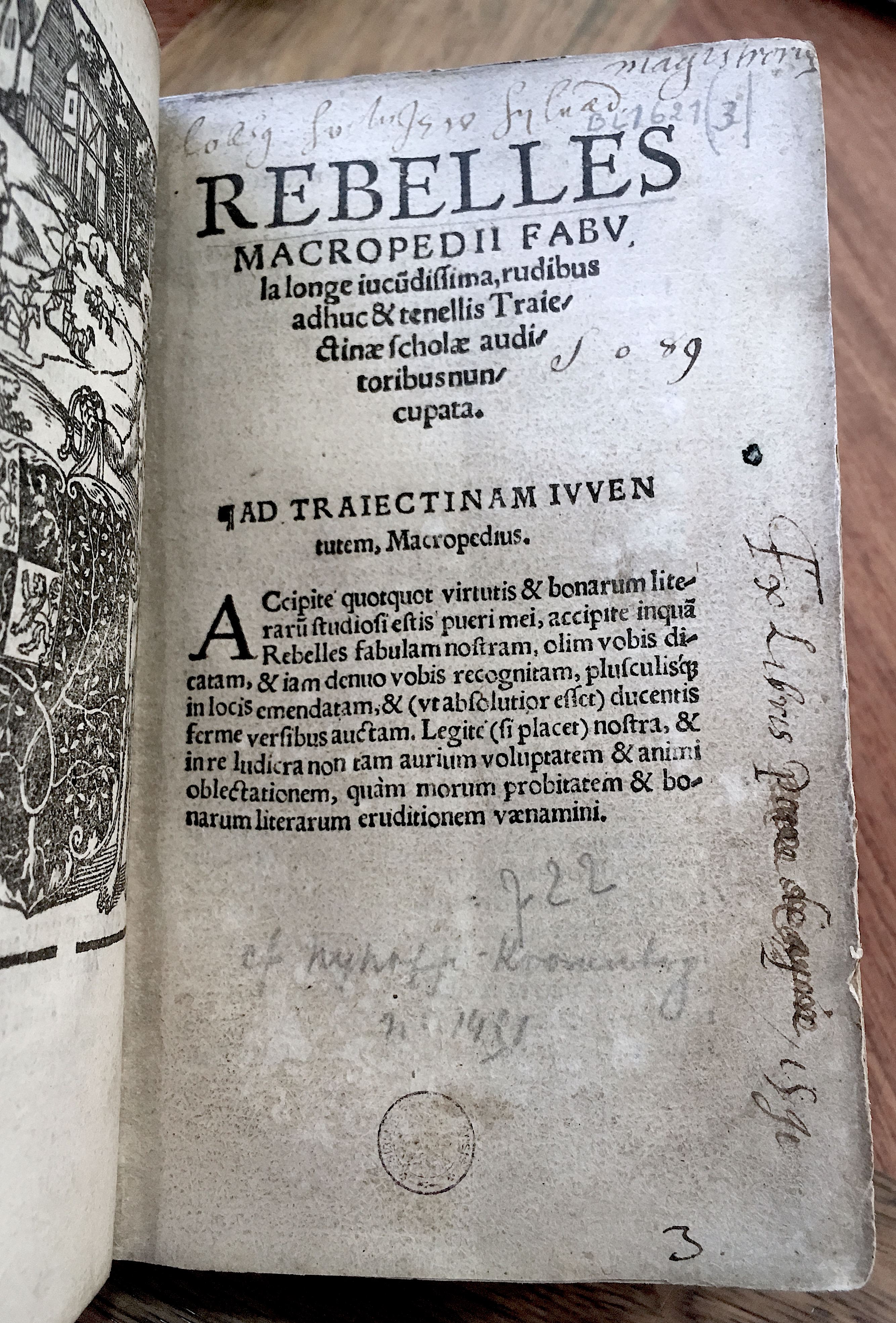 MacropediusRebelles1535p01